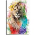 reinders! artprint leeuw multicolor