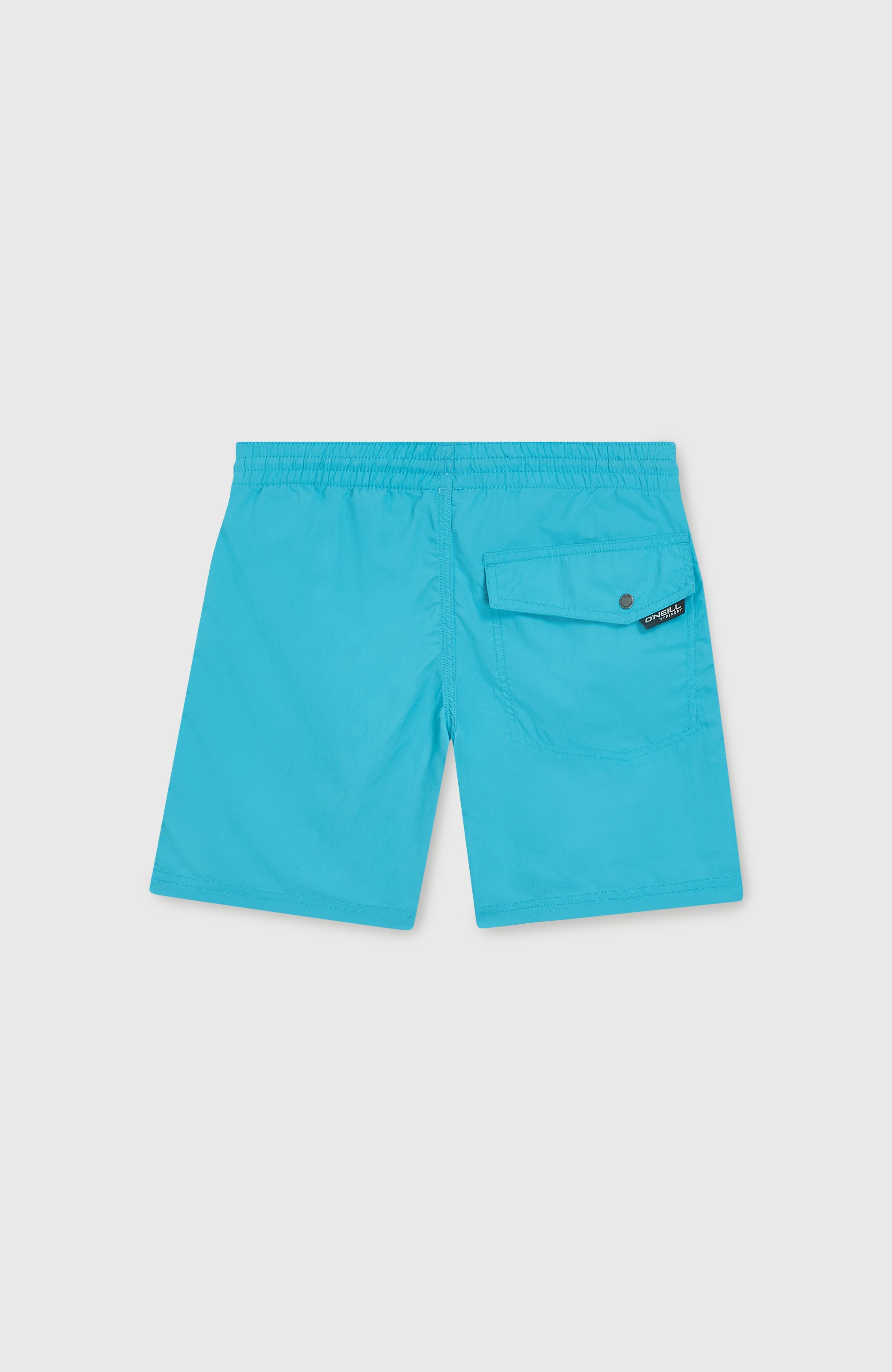 O'Neill Zwembroek VERT 14" SWIM SHORTS
