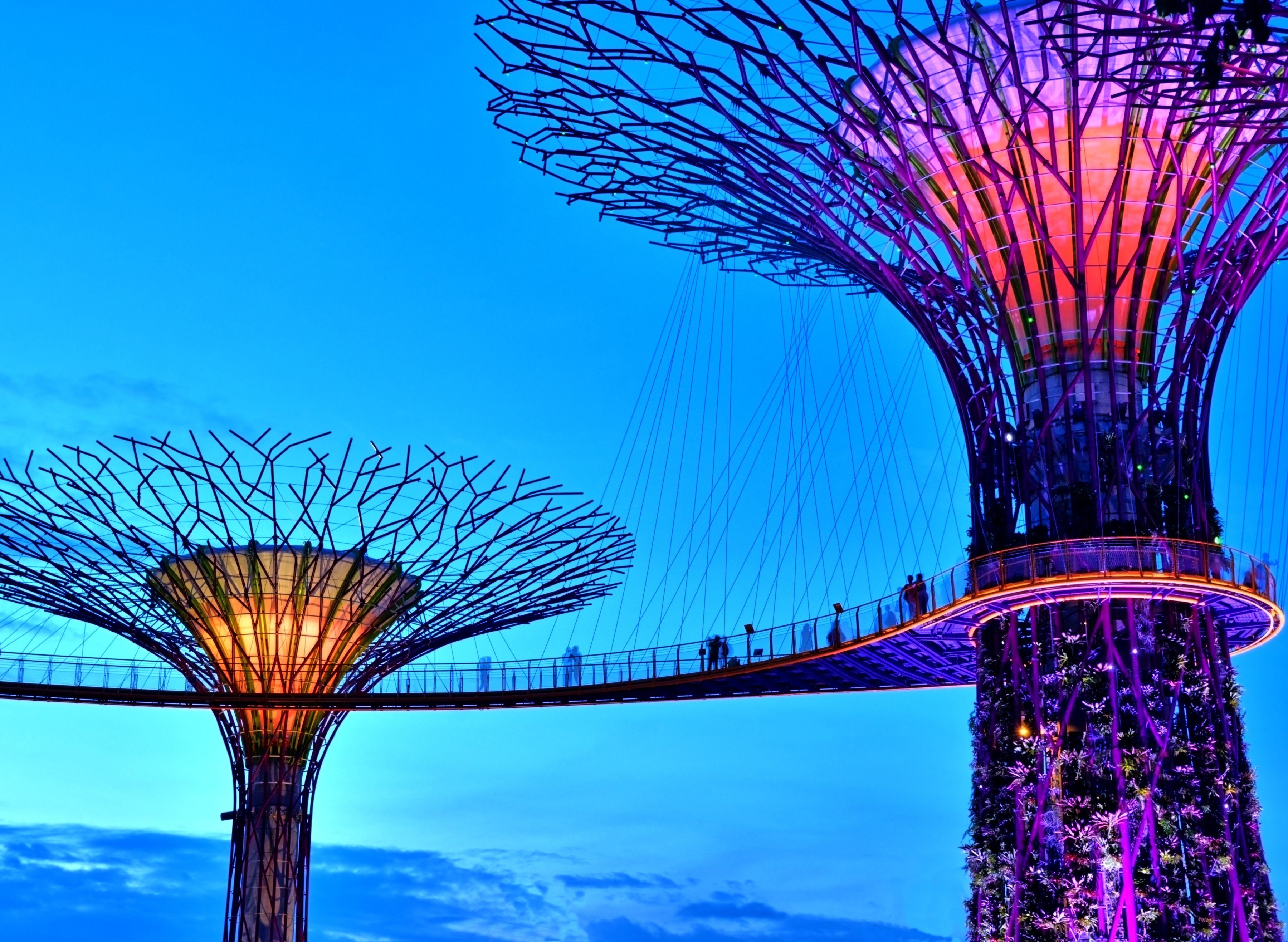 Papermoon Fotobehang Singapore Bay Supertrees