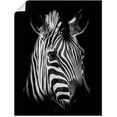 artland artprint zebra in vele afmetingen  productsoorten - artprint van aluminium - artprint voor buiten, artprint op linnen, poster, muursticker - wandfolie ook geschikt voor de badkamer (1 stuk) zwart
