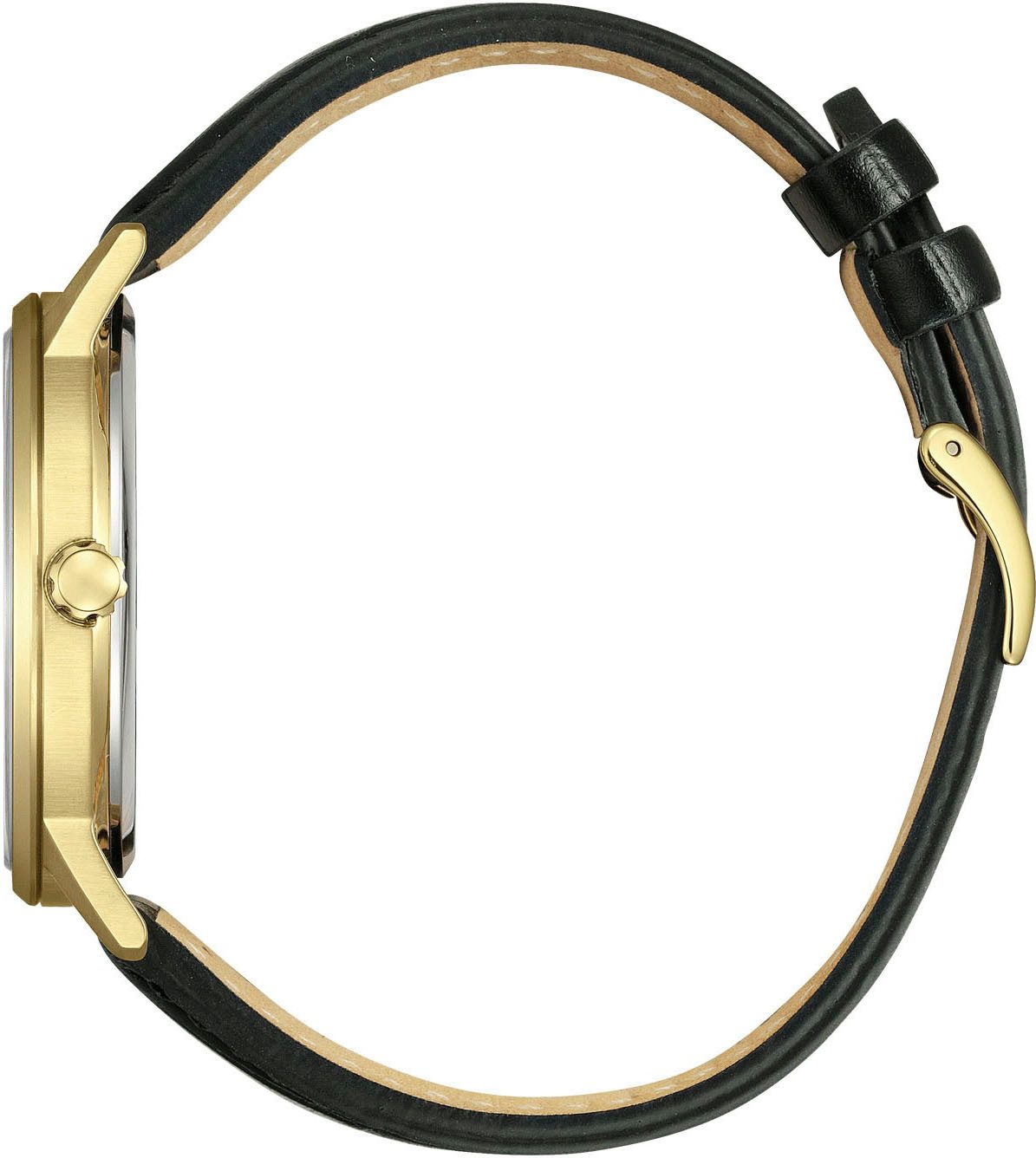 Citizen Solarhorloge Polshorloge, herenhorloge, leren band, analoog, datum, Eco-Drive
