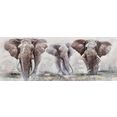 home affaire olieverfschilderij elephant bruin