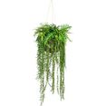 creativ green kunst-potplanten decoratieve bol om op te hangen (1 stuk) groen