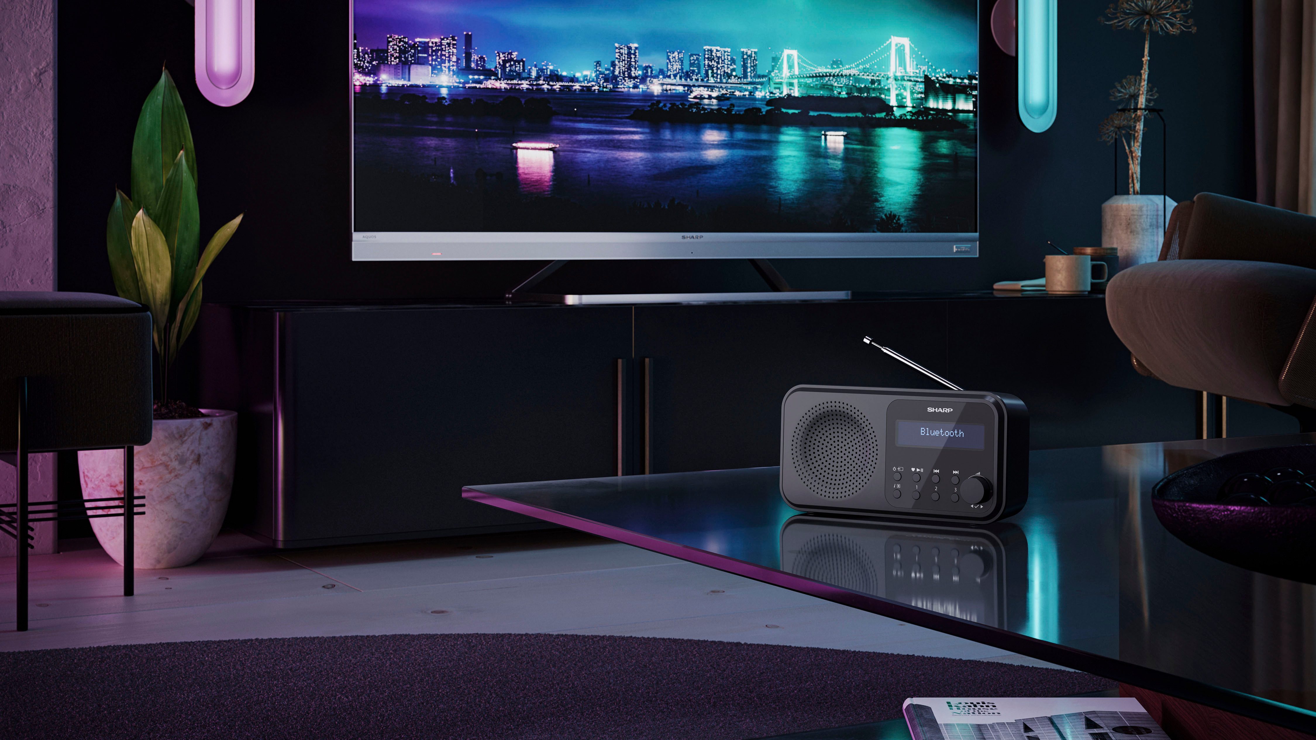 Sharp Radio DR-P420