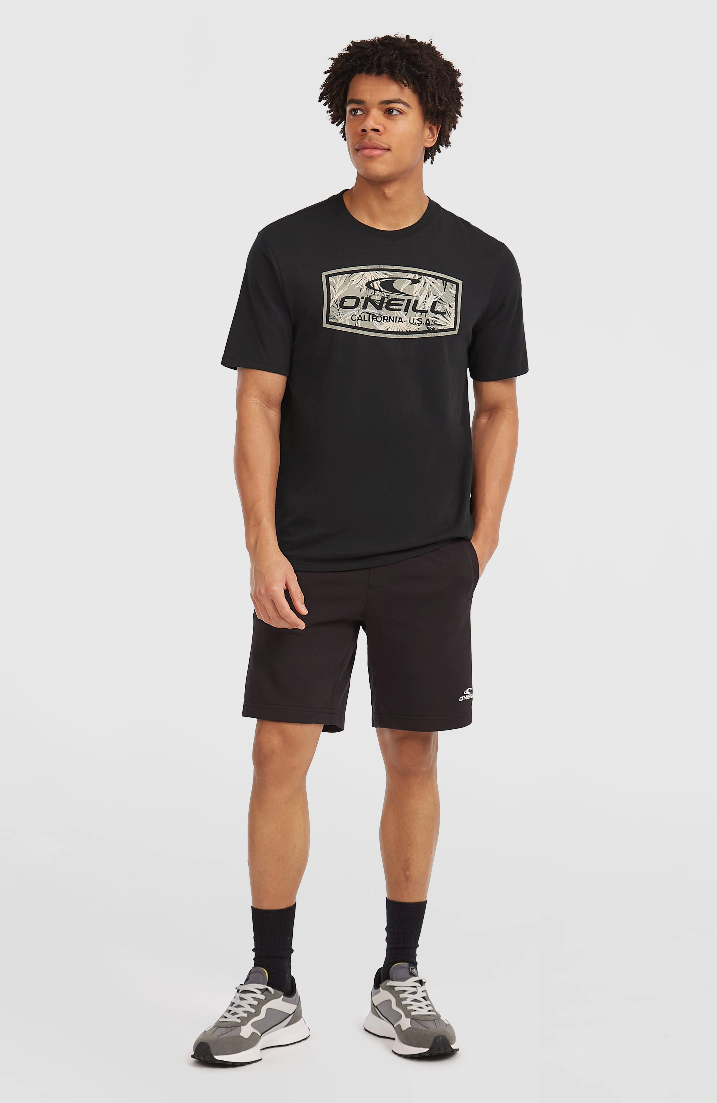 O'Neill T-shirt O'NEILL GRAPHIC T-SHIRT (1-delig)