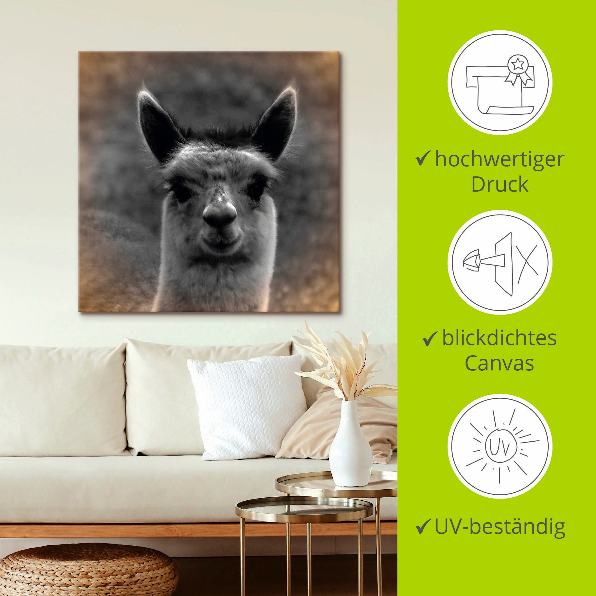 Artland Artprint Alpaca blik als artprint van aluminium, artprint voor buiten, artprint op linnen, poster in verschillende maten. maten