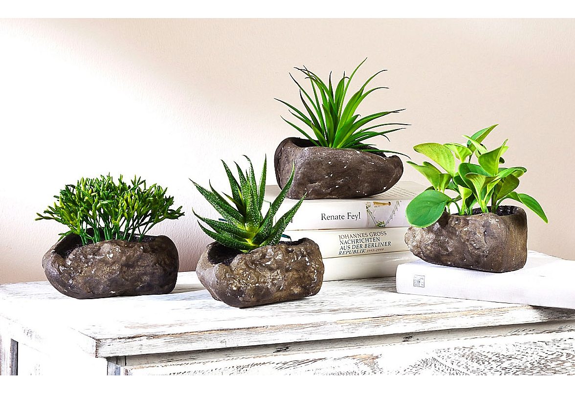Home affaire Kunstplant Vetplanten (4 stuks)