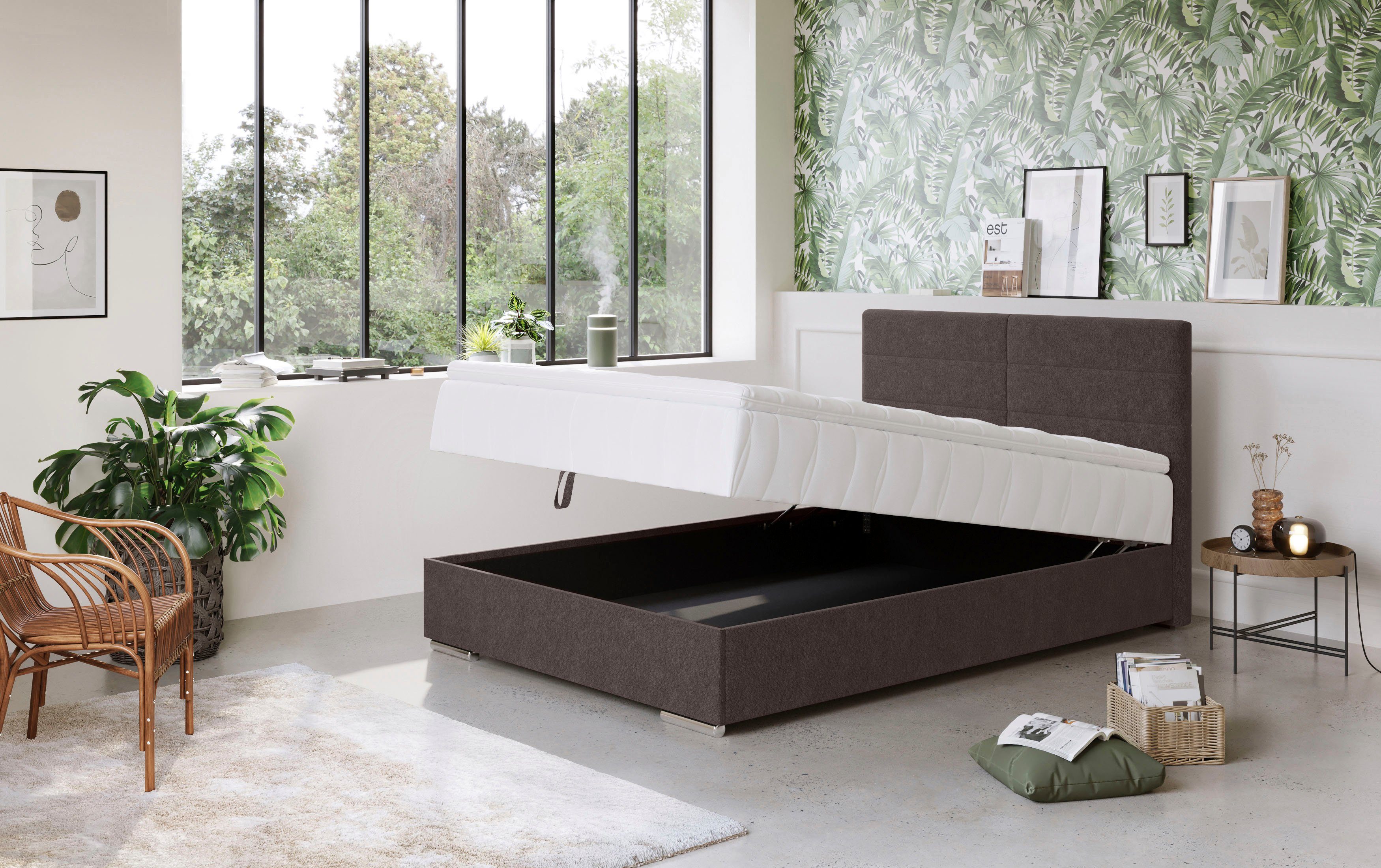 COTTA Boxspring Tom met bedkist, topmatras en sierkussen