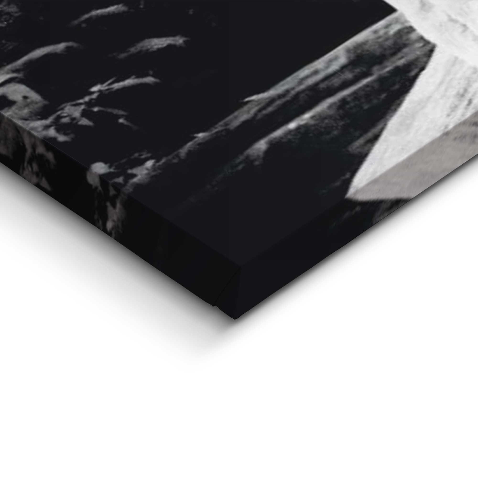 Reinders! Artprint Tijgerblik artprint tijger - roofdier - artprint woonkamer - artprint