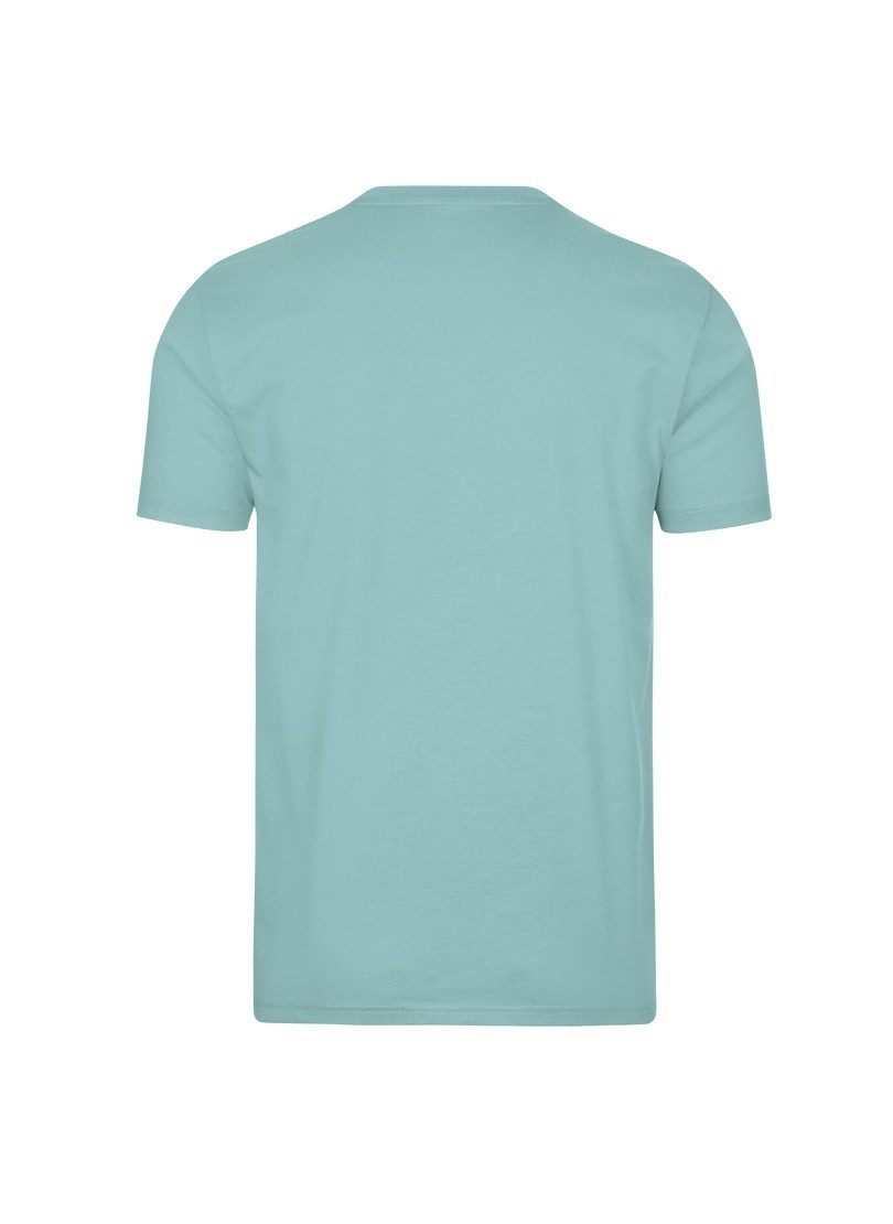 Trigema T-shirt Trigema T-shirt DELUXE katoen (1-delig)