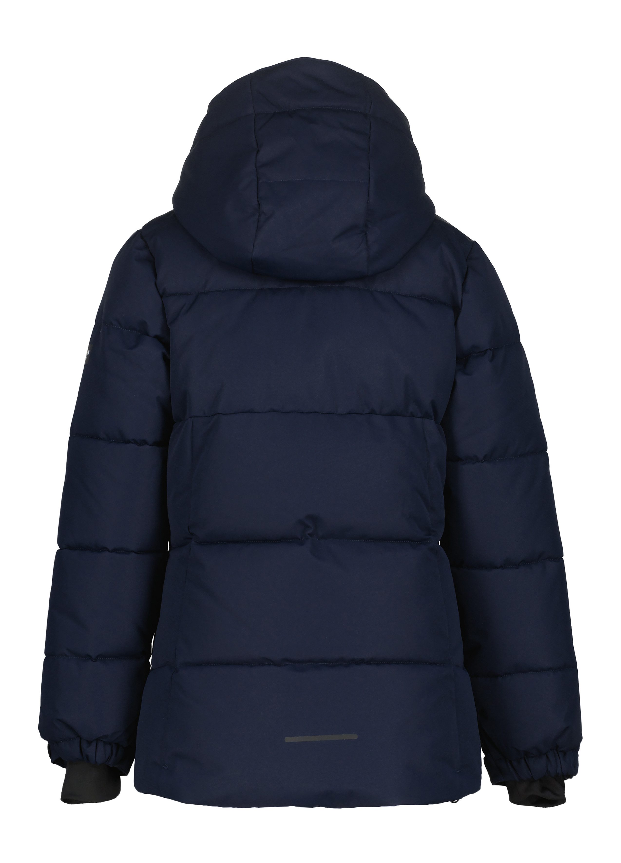 Icepeak Ski-jack ICEPEAK LORIS JR