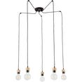 britop lighting hanglamp clarte natuurproduct van eikenhout, duurzaam met fsc-certificaat, bijpassende lm e27-exclusive, made in eu (set, 1 stuk) bruin