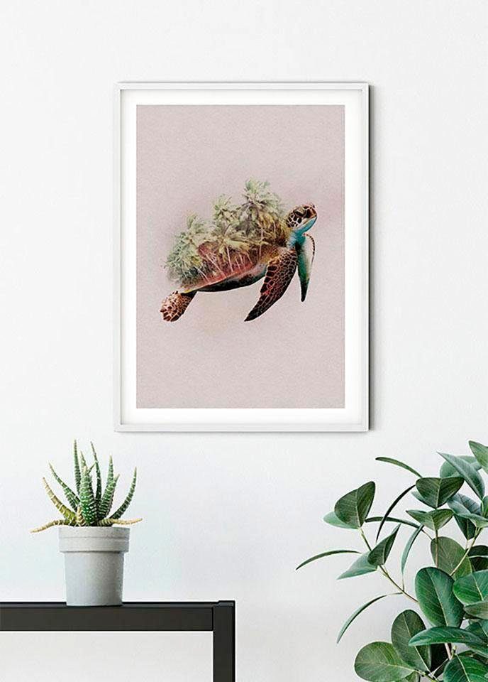 Komar Wanddecoratie Animals Paradise Turtle Wanddecoratie - zonder lijst (1 stuk)