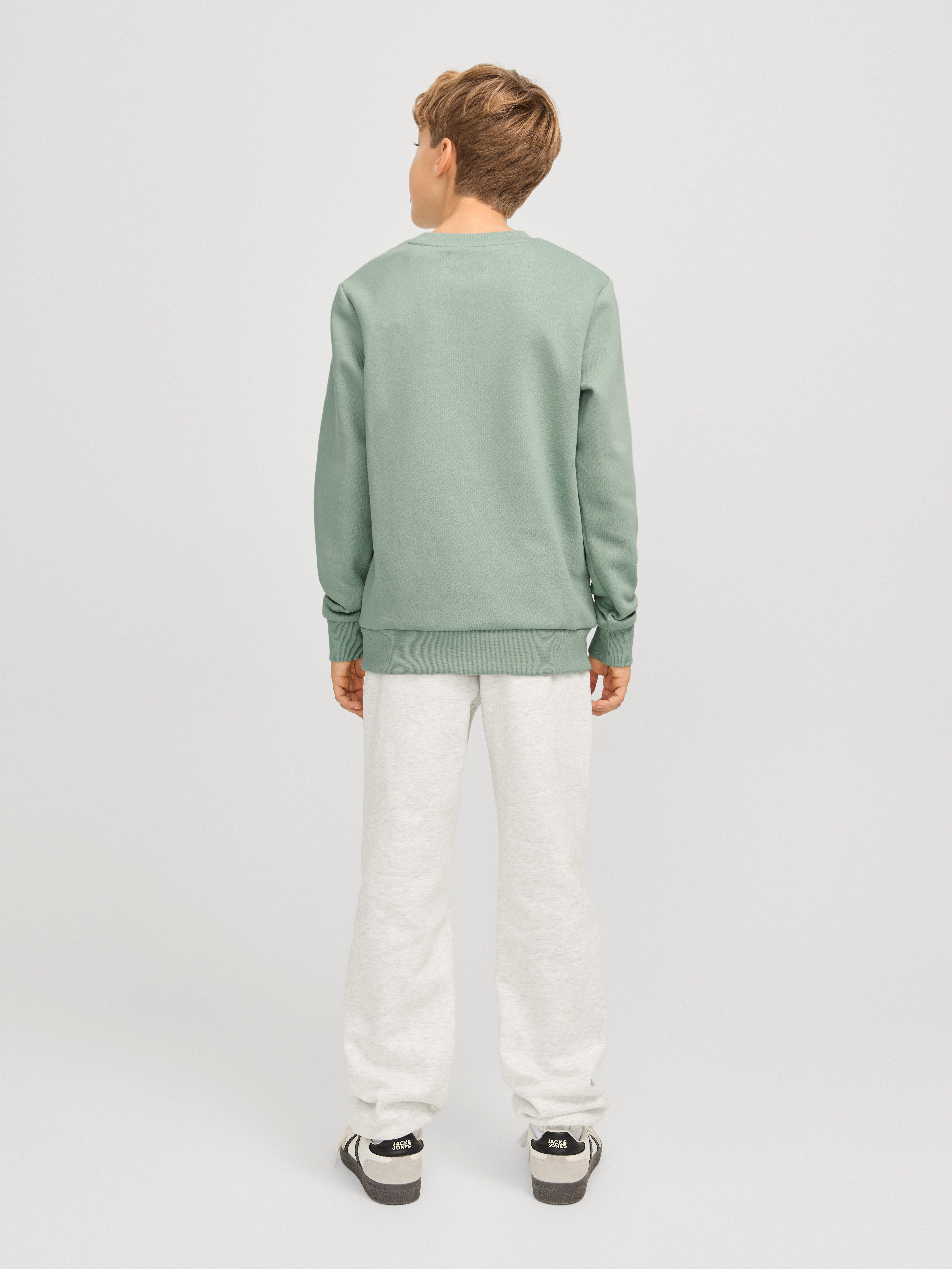 Jack & Jones Junior Sweatshirt JJECALEB VARSITY SWEAT CREW NECK SN JNR