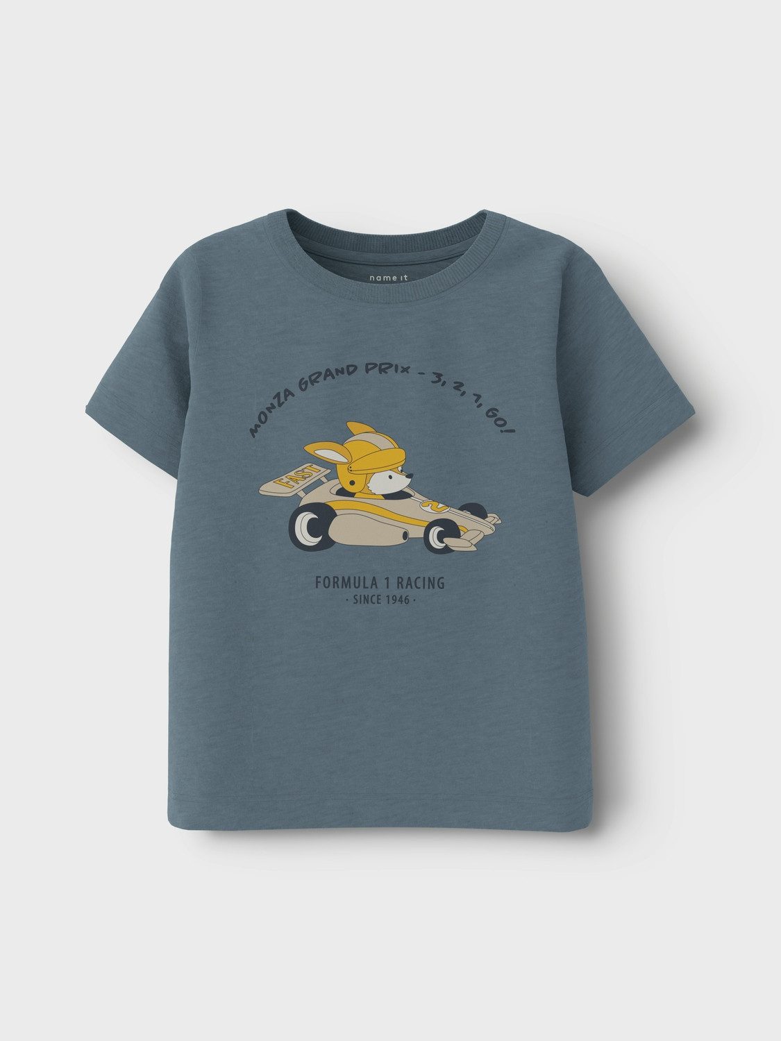 Name It Shirt met korte mouwen NMMKENDJO SS TOP PB