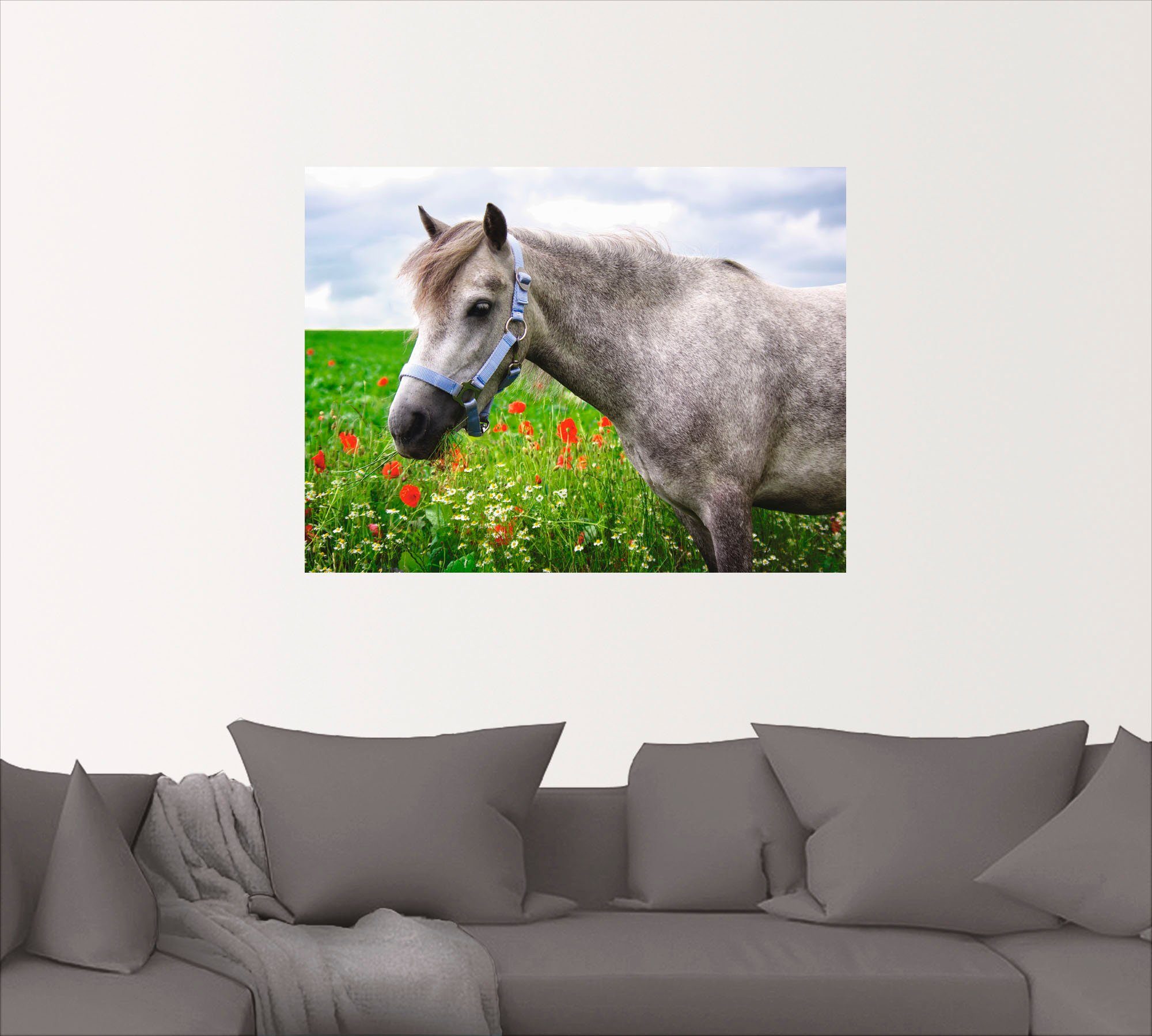 Artland Artprint Welshpony als artprint op linnen, muursticker in verschillende maten