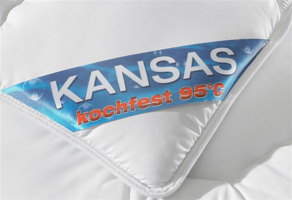 f.a.n. Frankenstolz Synthetisch dekbed + hoofdkussen Kansas Beddengoed topseller, in 135x200 cm, voo