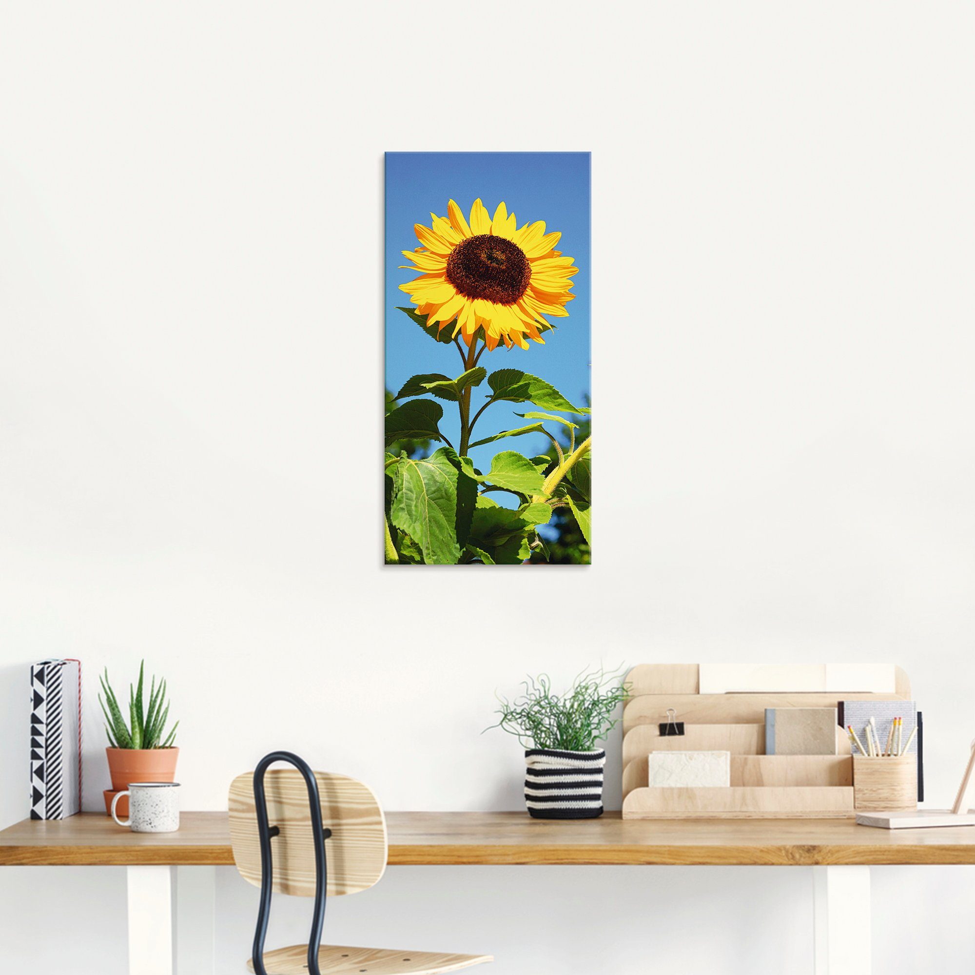 Artland Print op glas Grote zonnebloem in verschillende maten