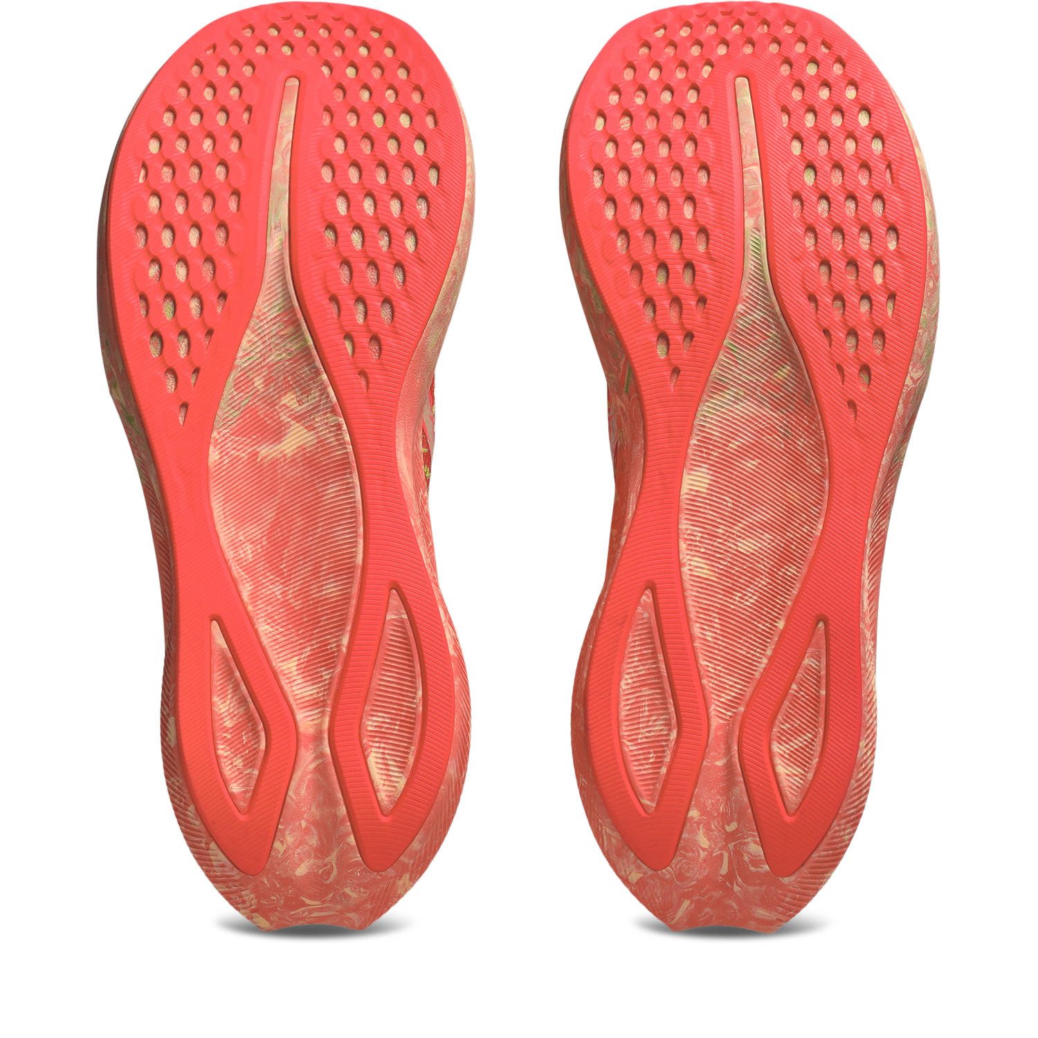 Asics Runningschoenen NOOSA TRI 16