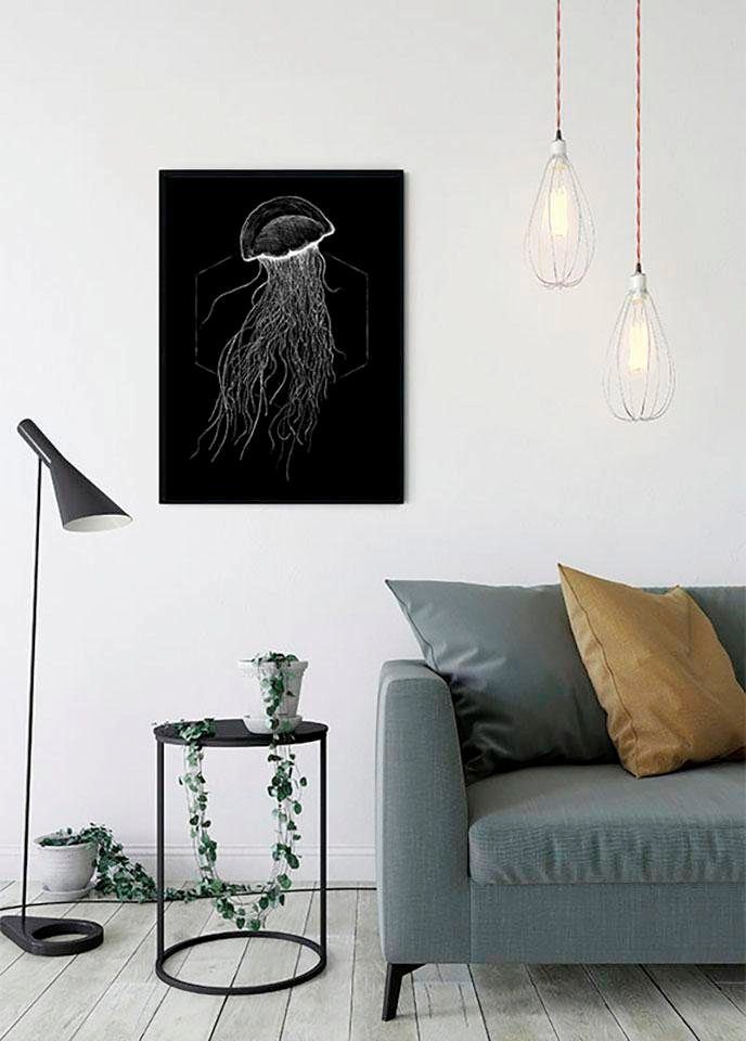 Komar Wanddecoratie Jellyfish black Wanddecoratie - zonder lijst (1 stuk)