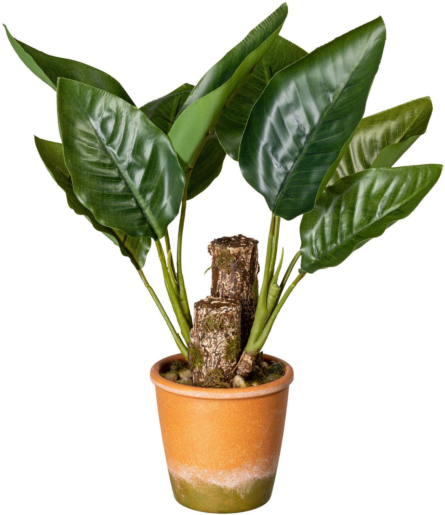 Creativ green Kunst-potplanten Bladplant Canna in de paperpot (1 stuk)