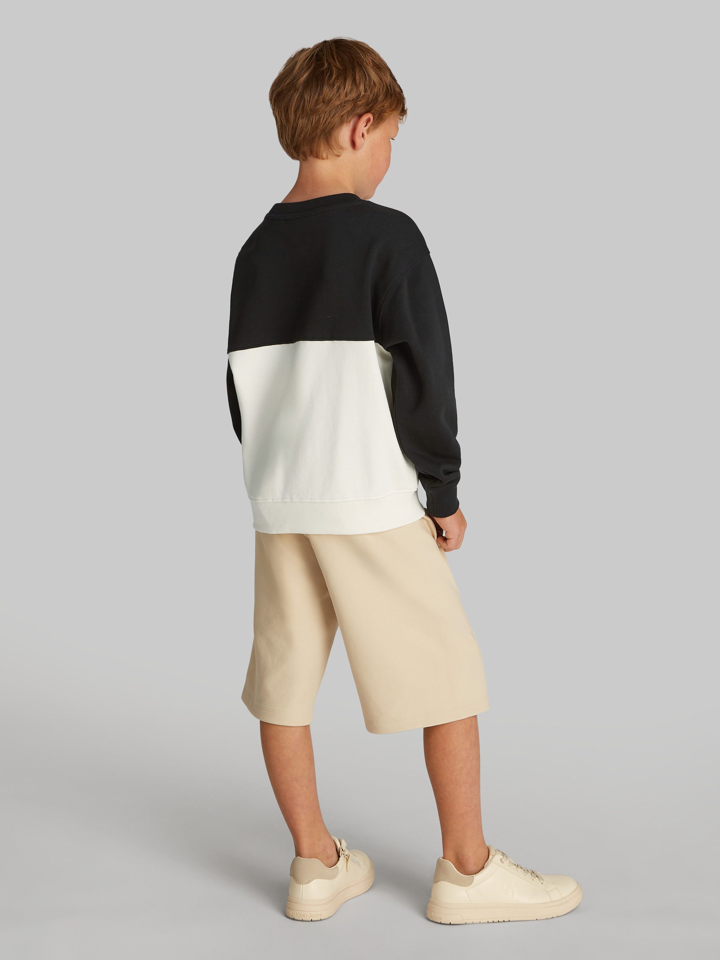 Calvin Klein Sweatshirt COLOR BLOCK TERRY CN in colourblocking-stijl