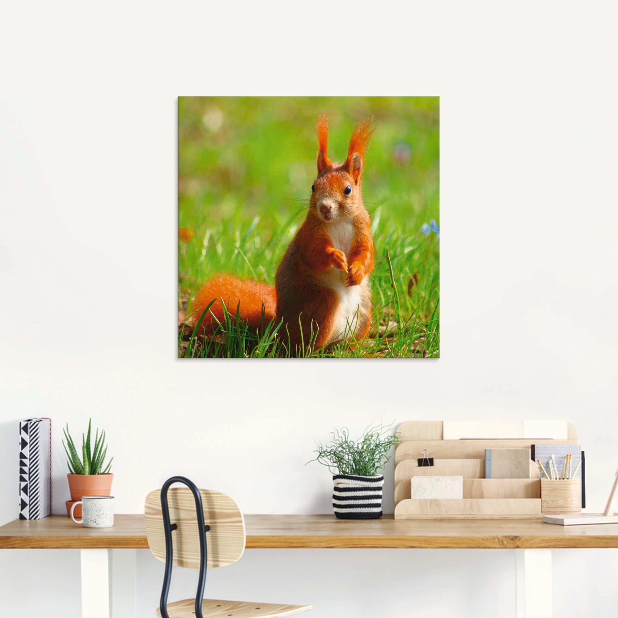Artland Print op glas Eekhoorntje contact in verschillende maten