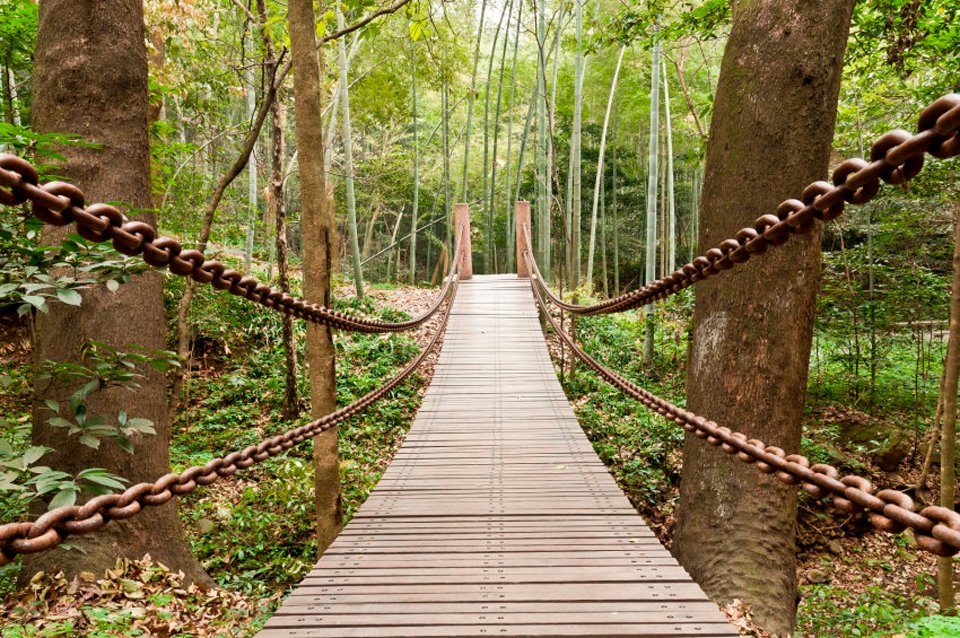 Papermoon fotobehang Suspension Bridge