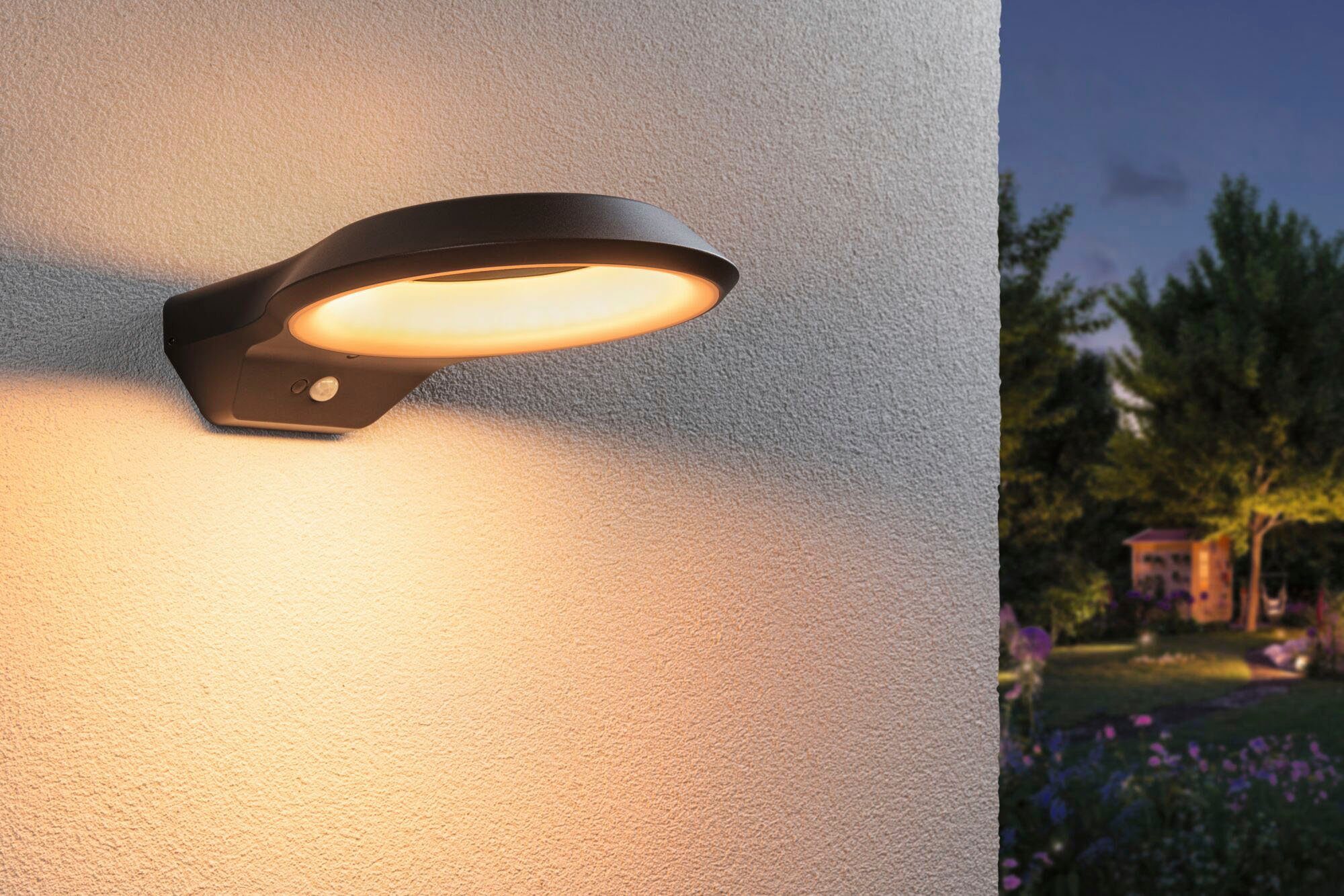 Paulmann Led-wandlamp voor buiten Anela 230V insectvriendelijk