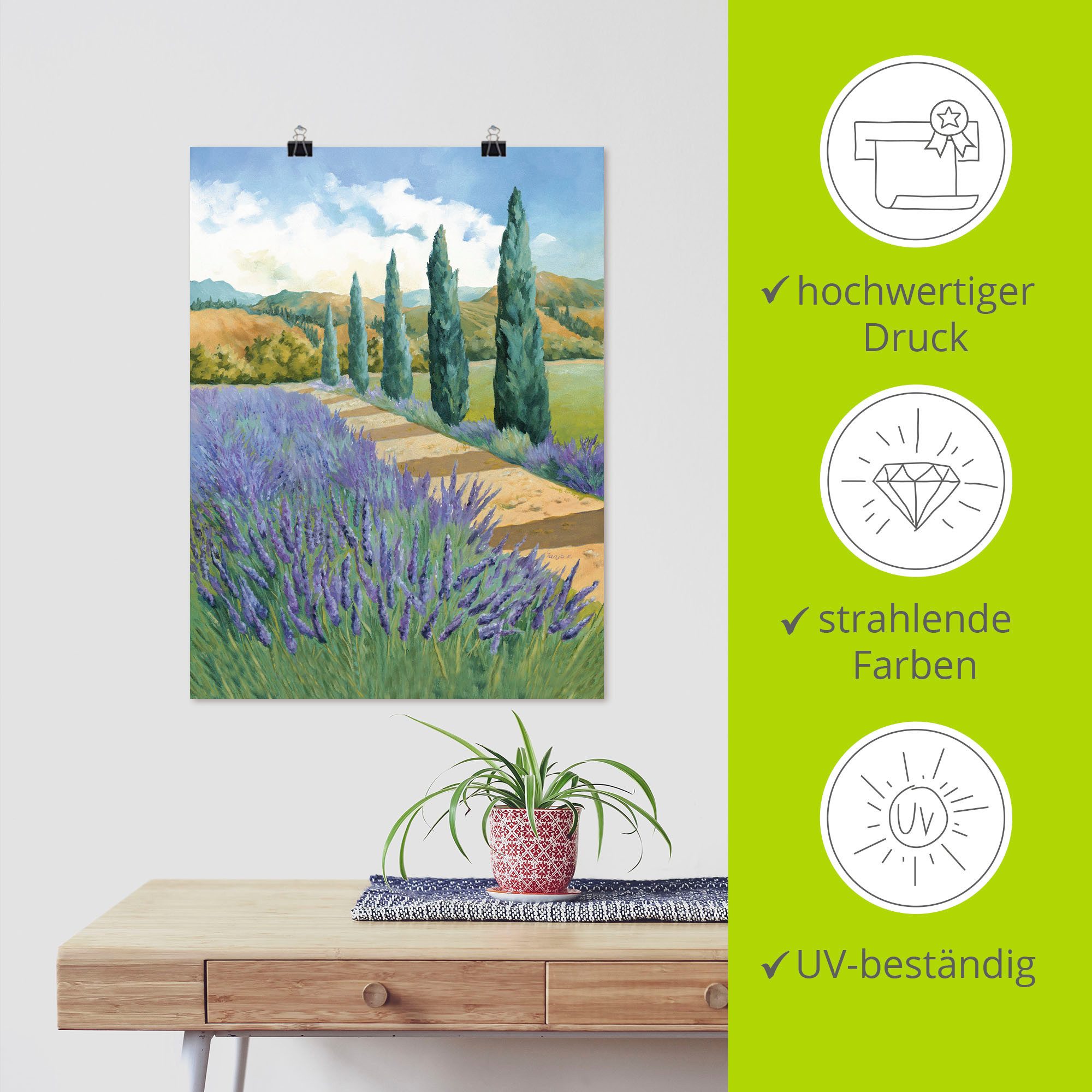 Artland Poster Weg door het lavendelveld als artprint van aluminium, artprint op linnen, muursticker of poster in verschillende maten