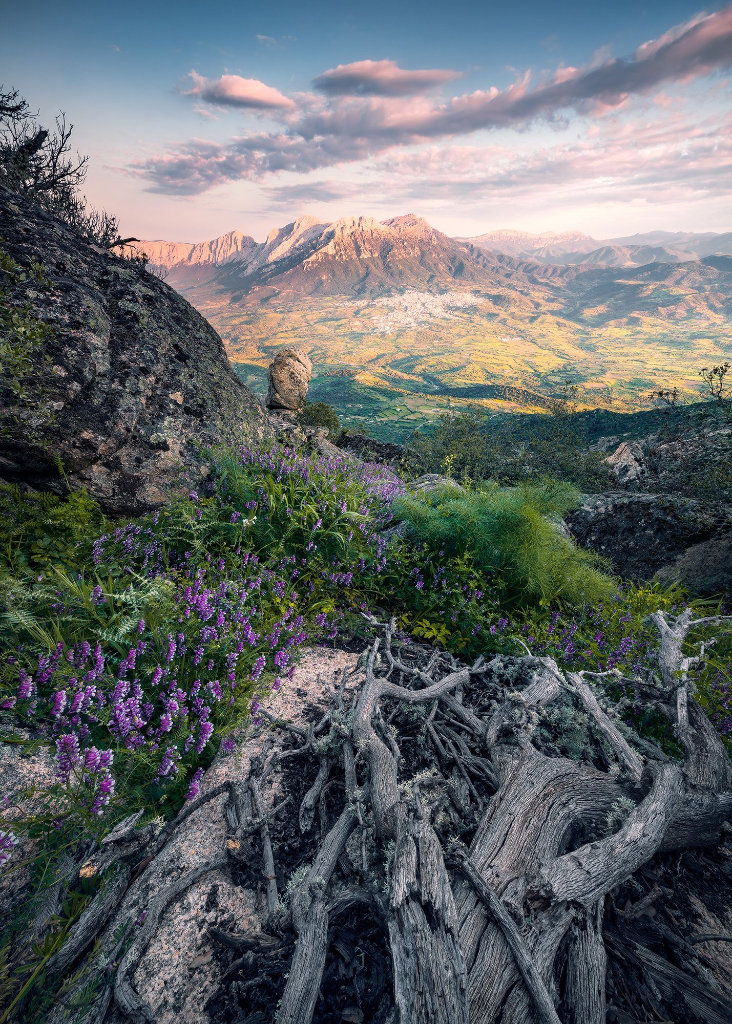 Komar fotobehang Flowering Tales