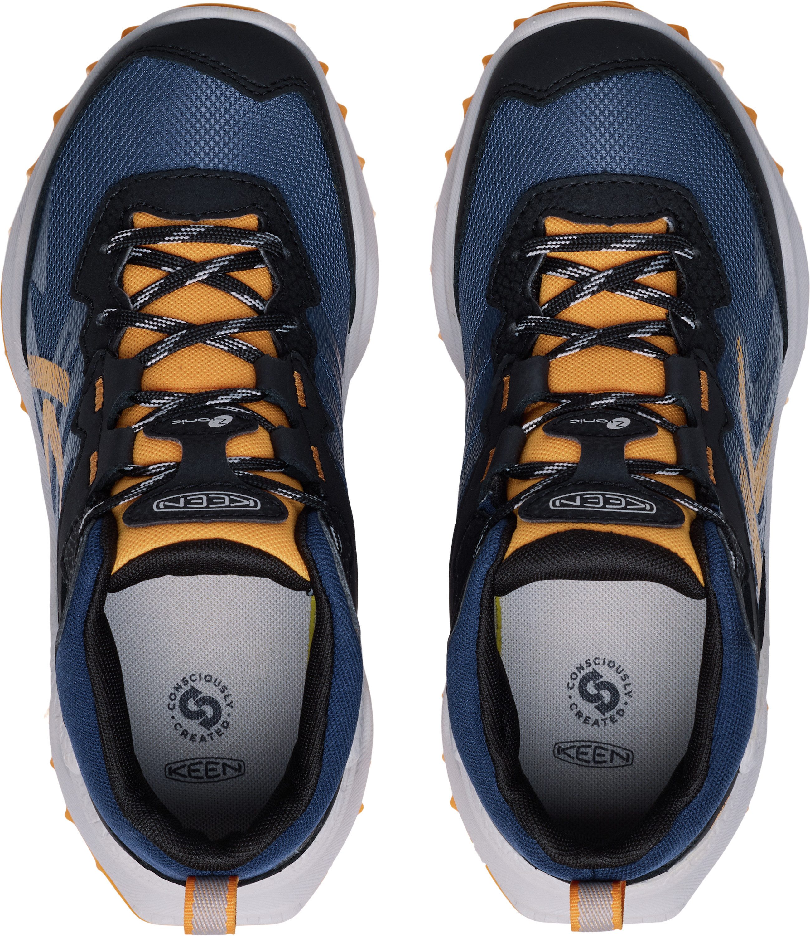 Keen Outdoorschoenen ZIONIC MID WP