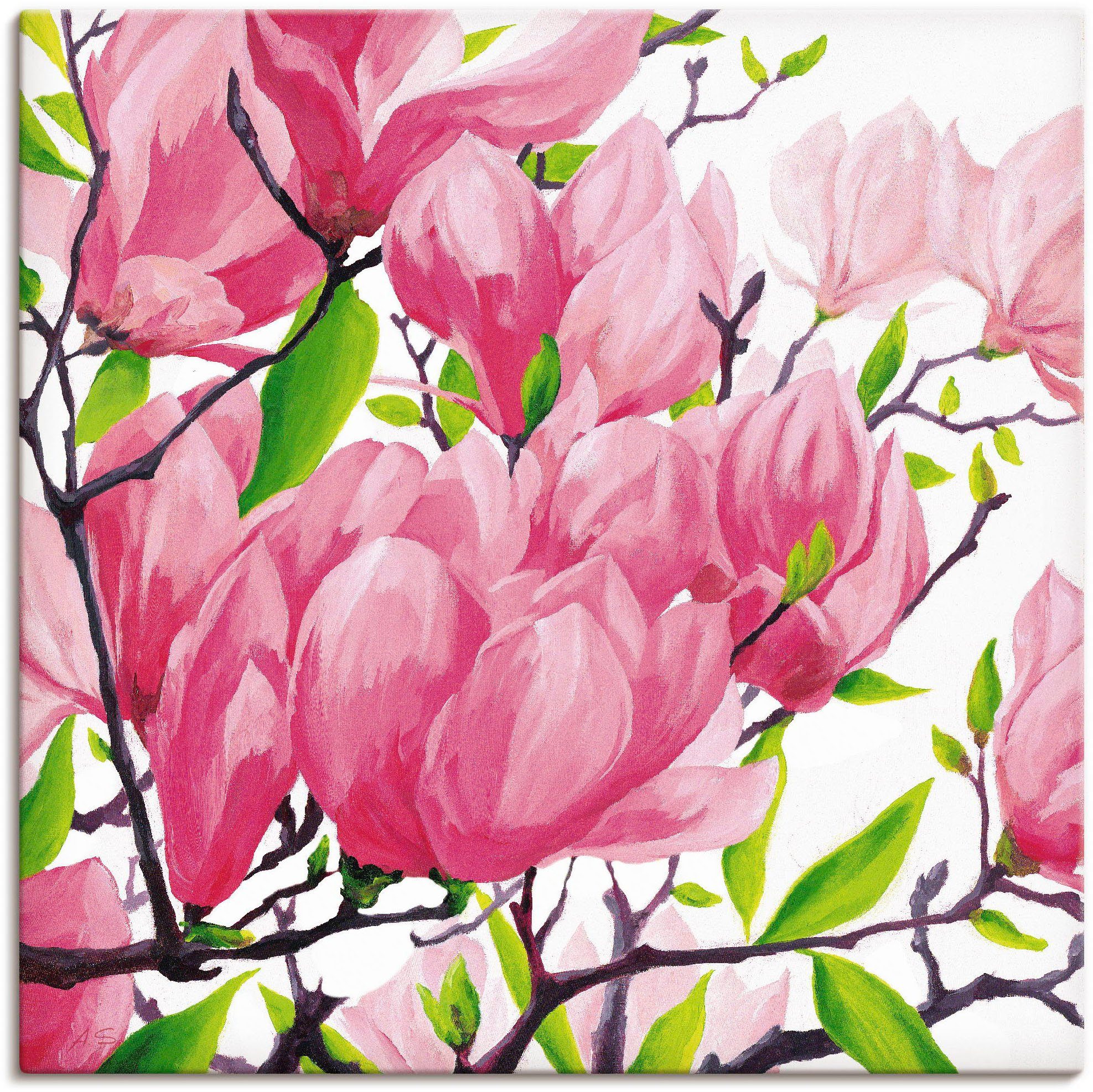 Artland Artprint Pinkkleurige magnolia's in vele afmetingen & productsoorten - artprint van aluminium / artprint voor buiten, artprint op linnen, poster, muursticker / wandfolie oo