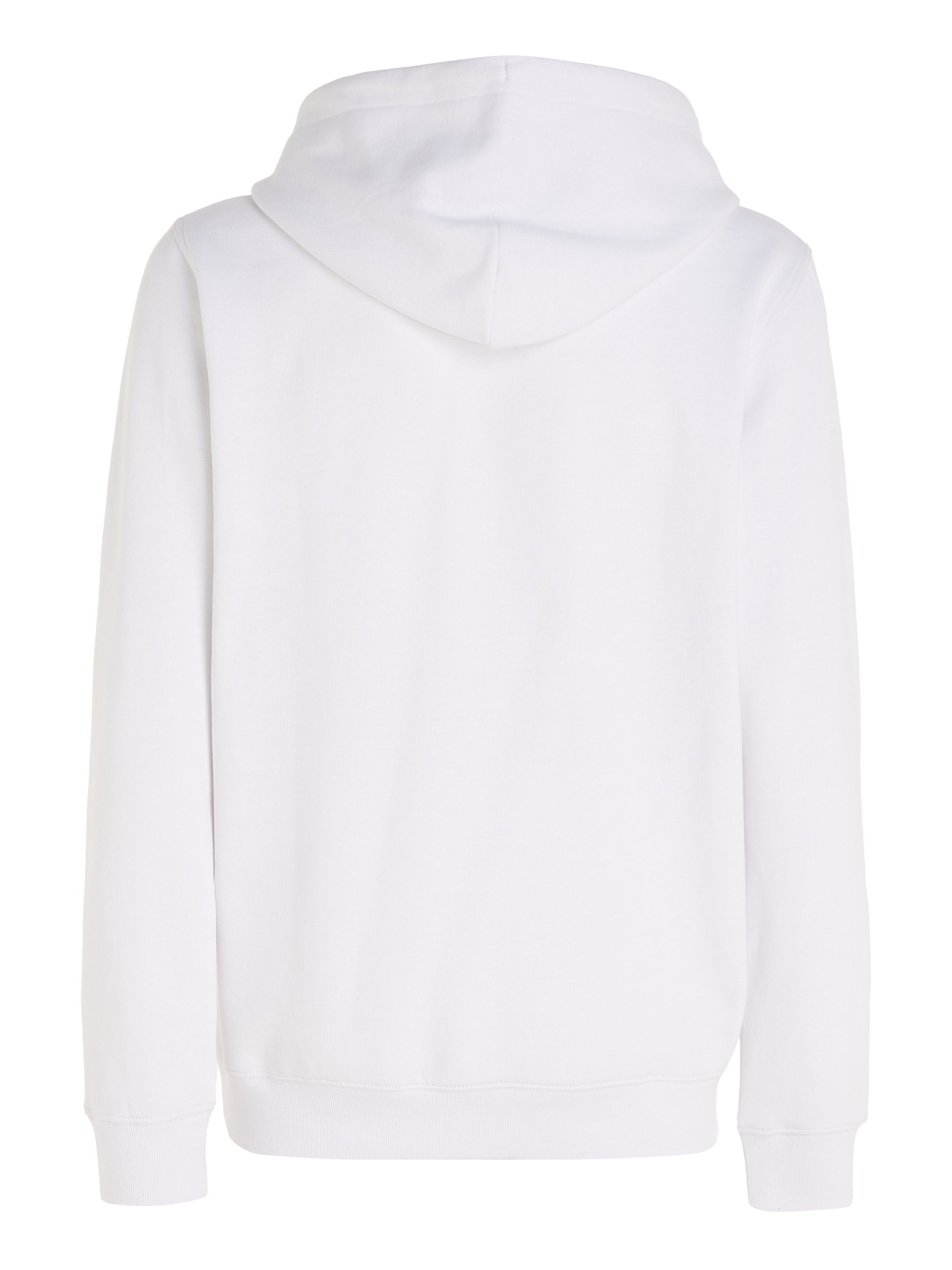 TOMMY JEANS Hoodie TJM REG LINEAR LOGO HOODIE EXT