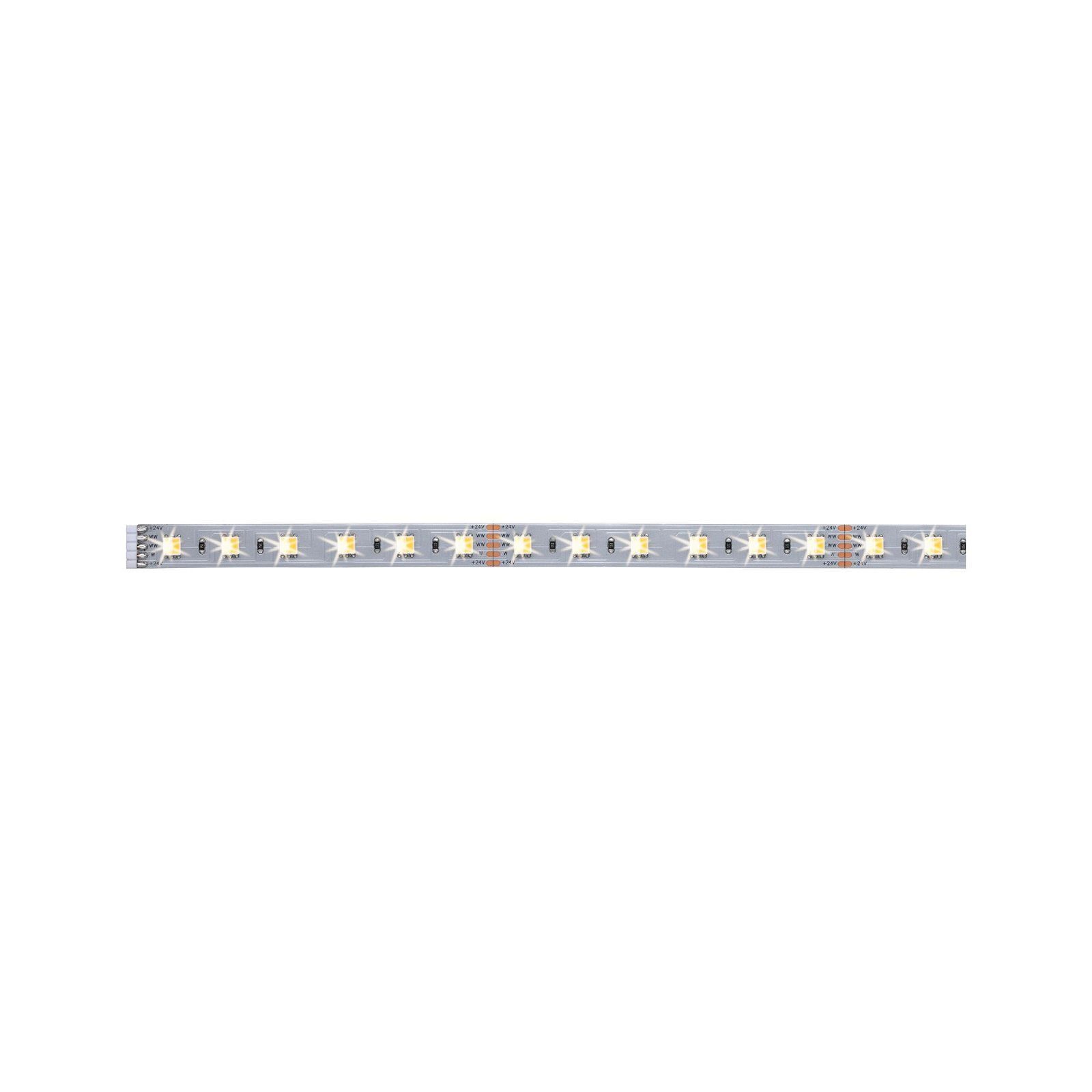 Paulmann Led-strepen MaxLED Stripe 1m 6,2W 24V zilverkleur kunststof (1 stuk)