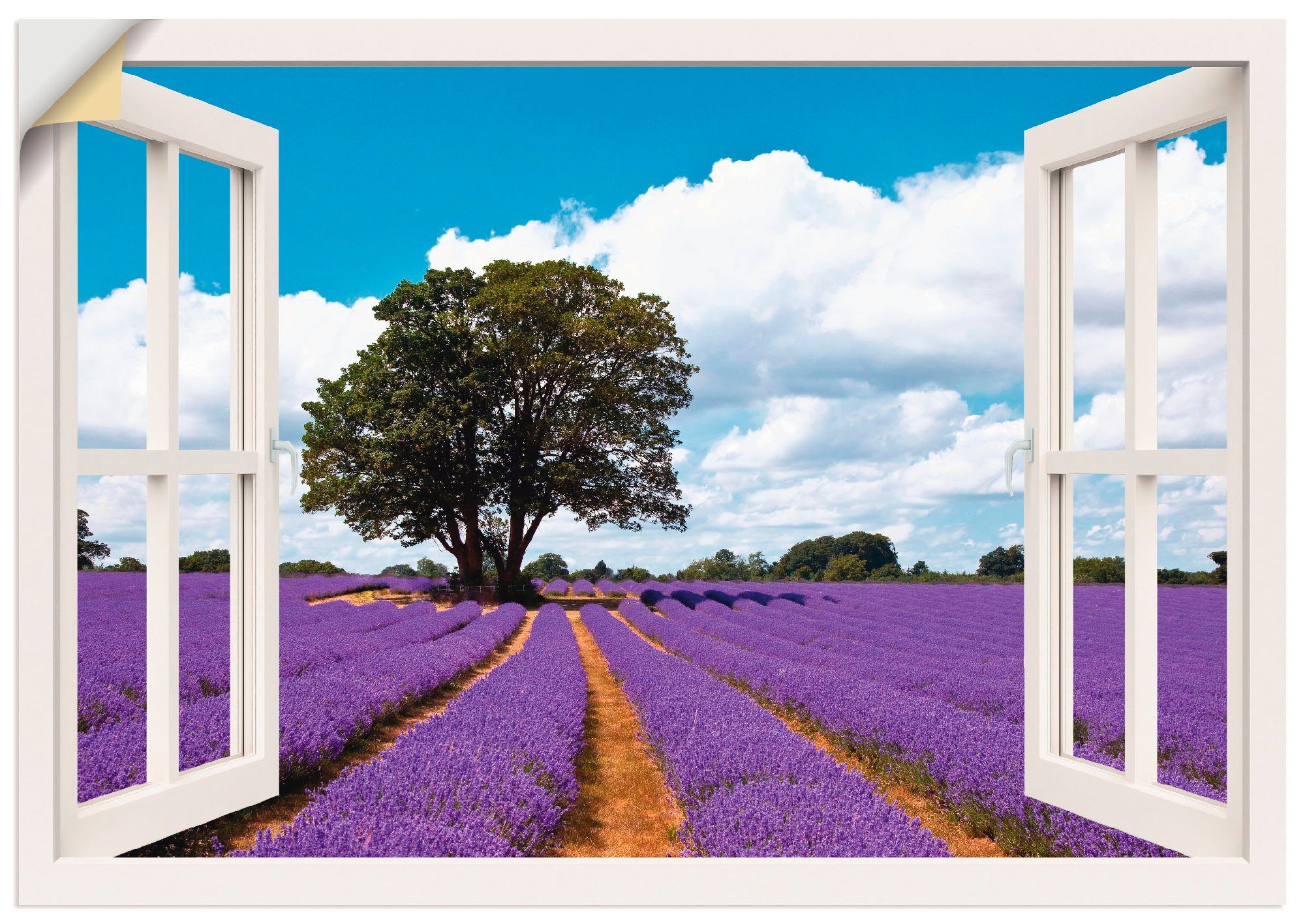Artland Artprint Blik uit het venster lavendelveld in de zomer in vele afmetingen & productsoorten -artprint op linnen, poster, muursticker / wandfolie ook geschikt voor de badkame