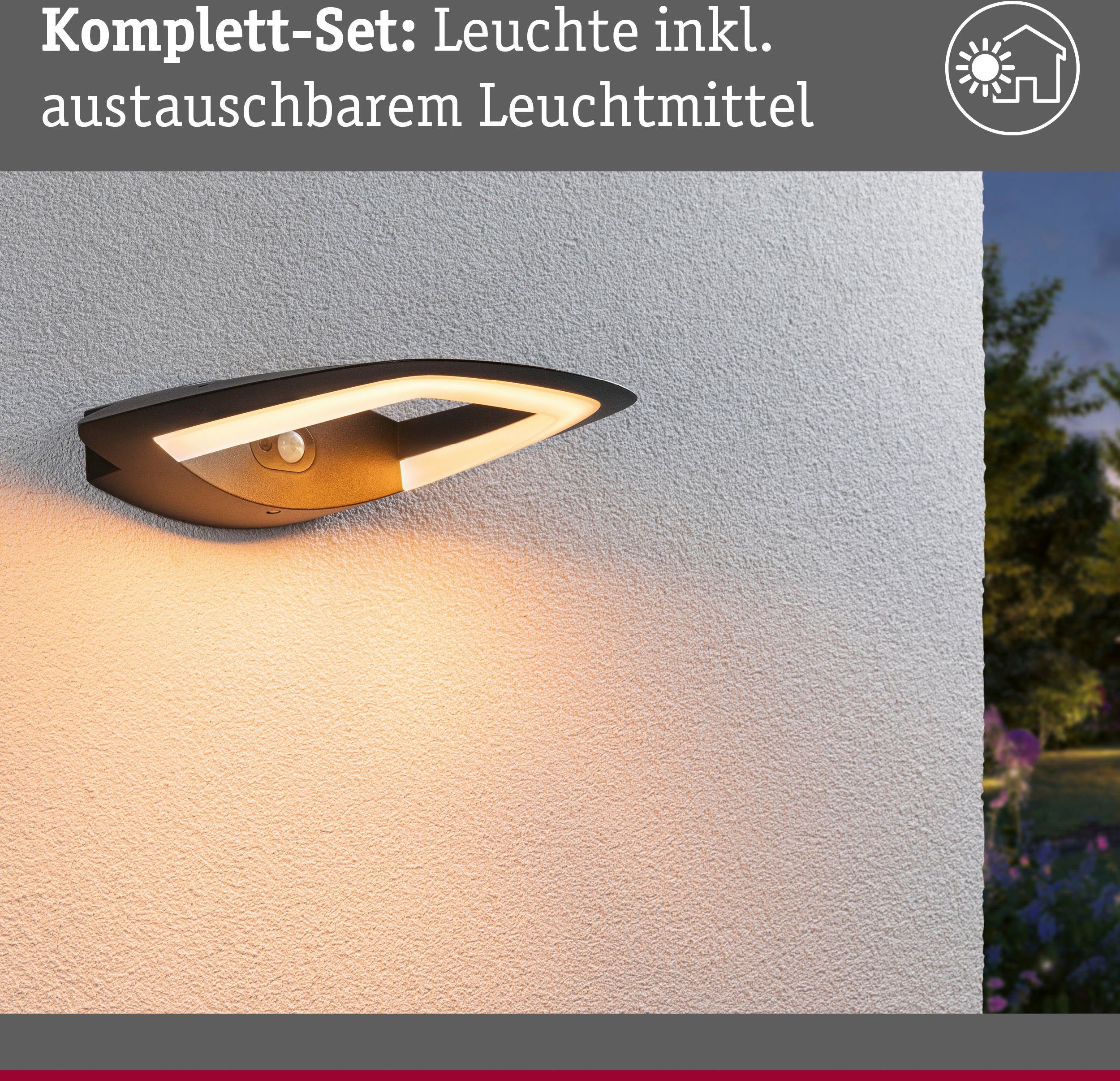 Paulmann Led-wandlamp voor buiten Buiten 230V Akena PIR Insect friendly Antraciet