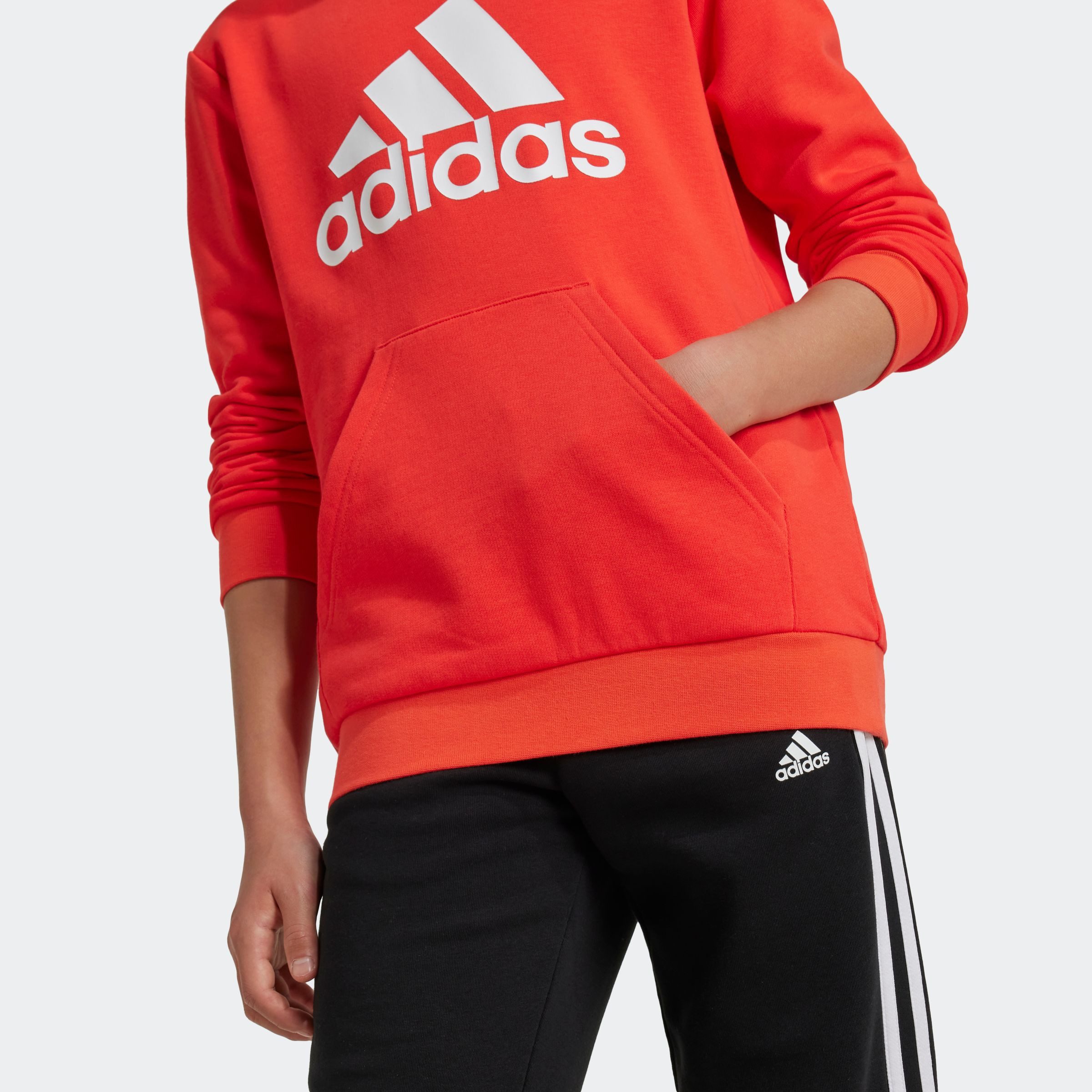 adidas Sportswear Hoodie BIG LOGO ESSENTIALS COTTON HOODIE