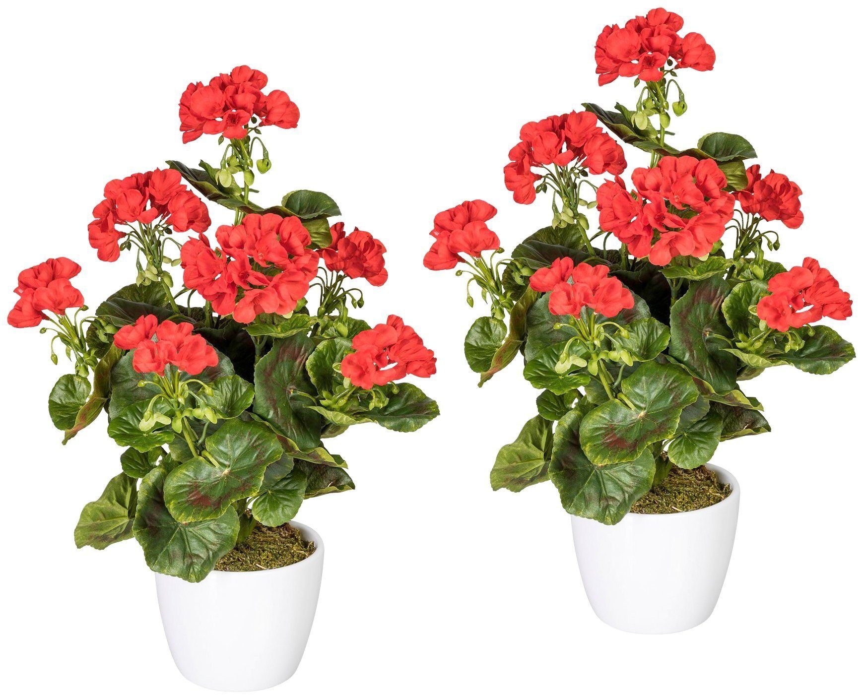 Creativ green Kunstplant Geranium, rood in een keramische pot (set, 2 stuks)