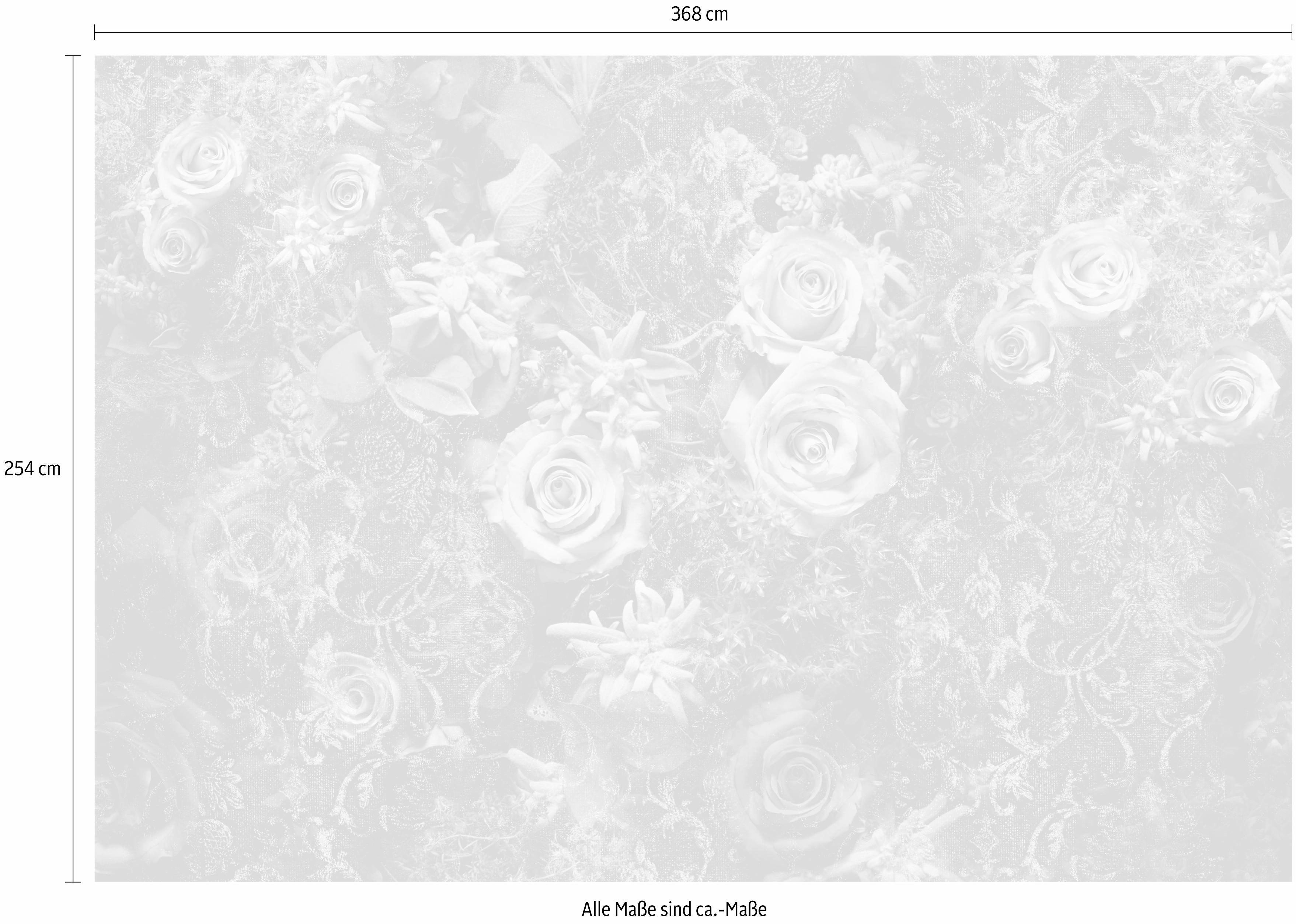 Komar Fotobehang Velvet - Afmeting 368 x 254 cm (set)