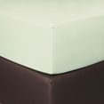 bettwarenshop hoeslaken boxspring elastisch voor extra hoge matrassen (1 stuk) groen