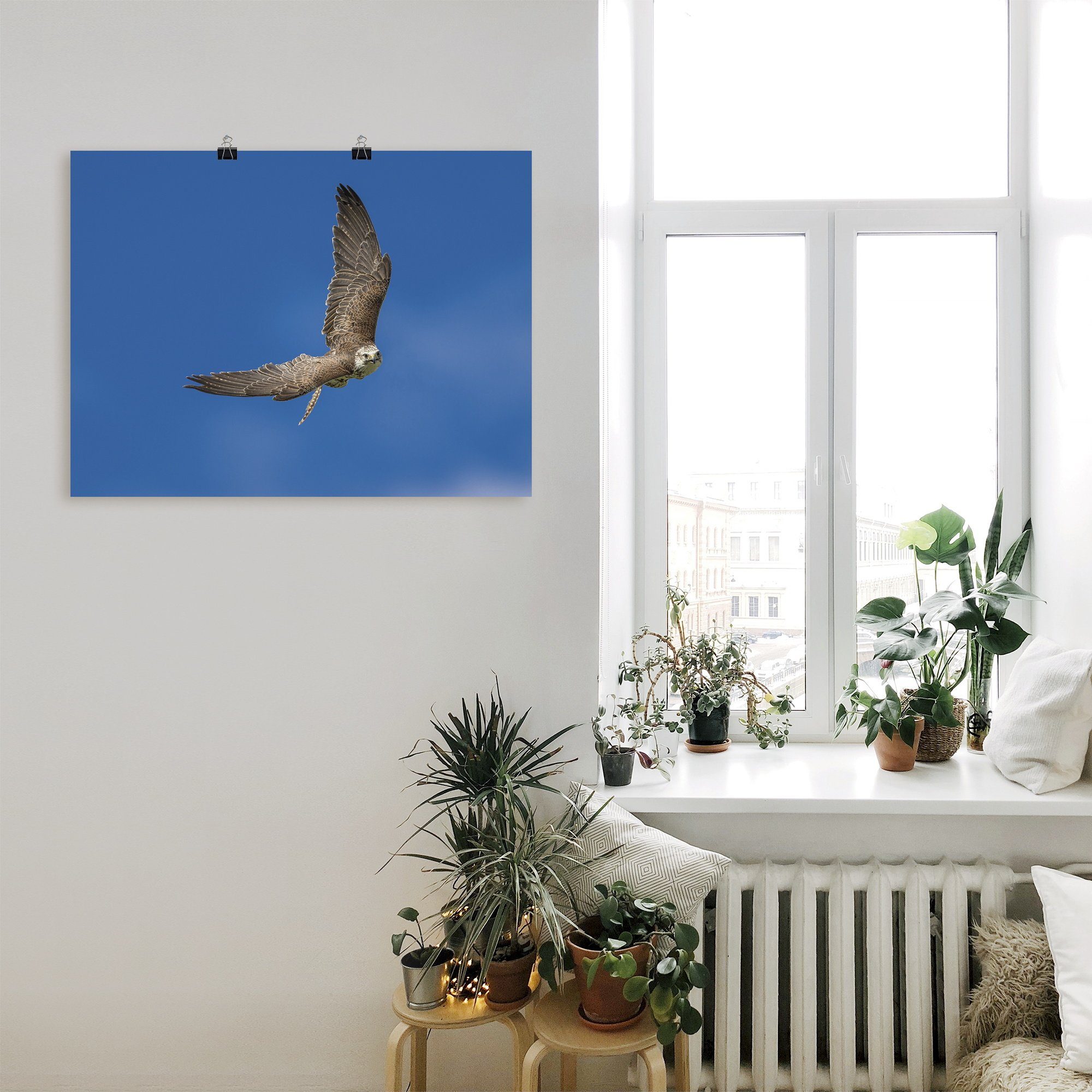 Artland Artprint De valk als artprint op linnen, poster in verschillende formaten maten