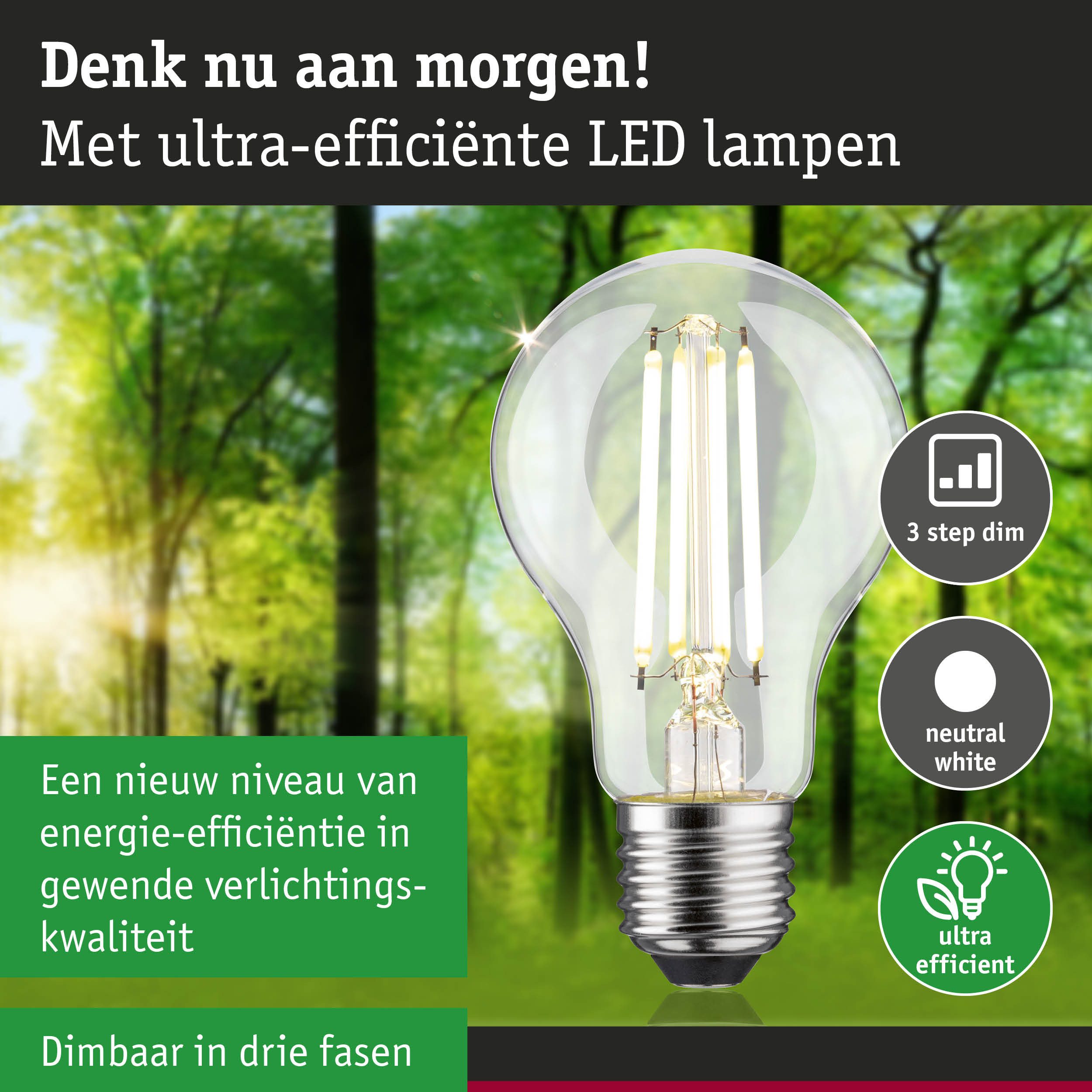 Paulmann Led-verlichting Eco-Line filament 230V LED-lamp E27 806lm 4,3W 4000K dimbaar helder