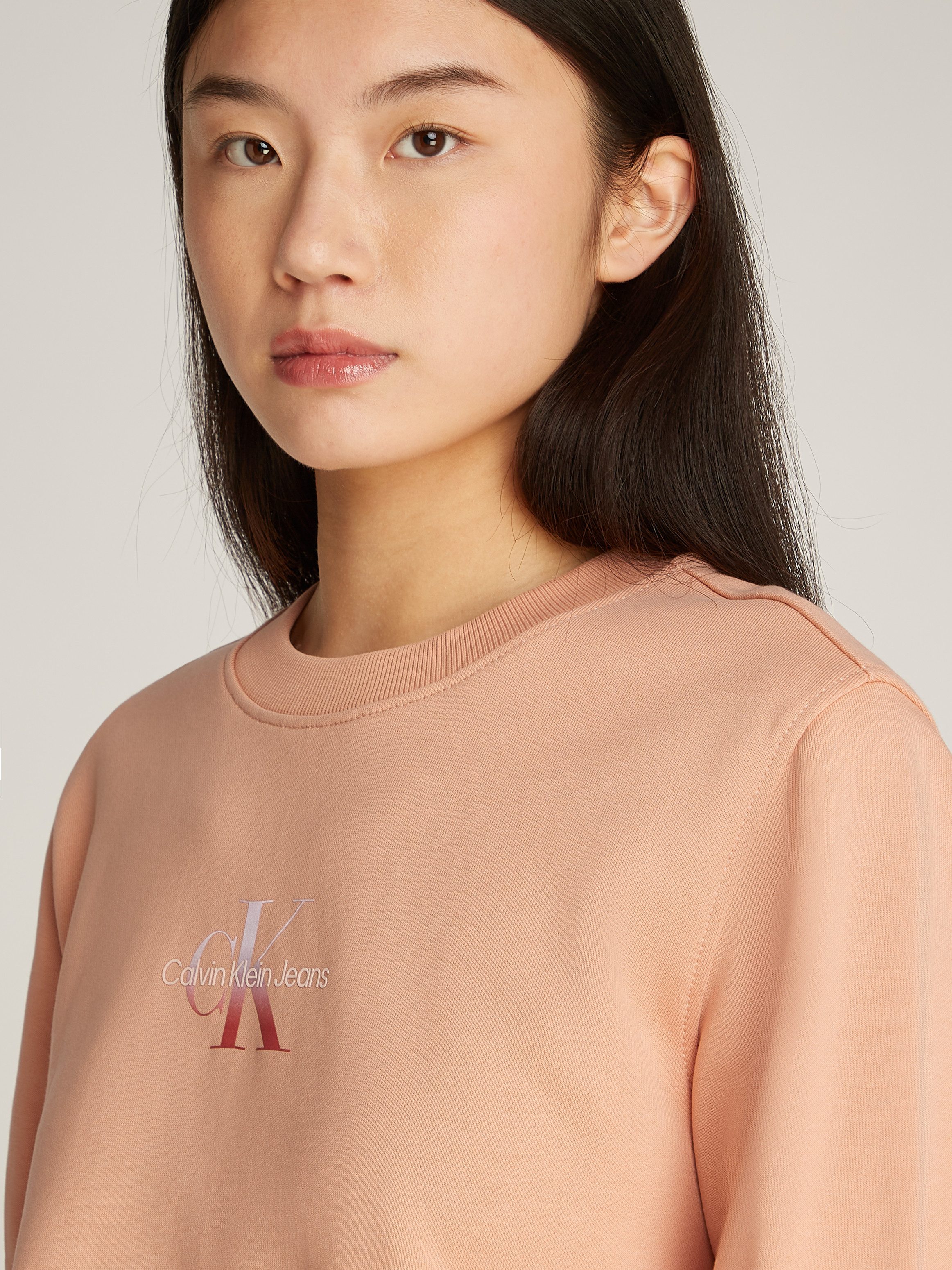Calvin Klein Sweatshirt GRADIENT MONOLOGO CREWNECK