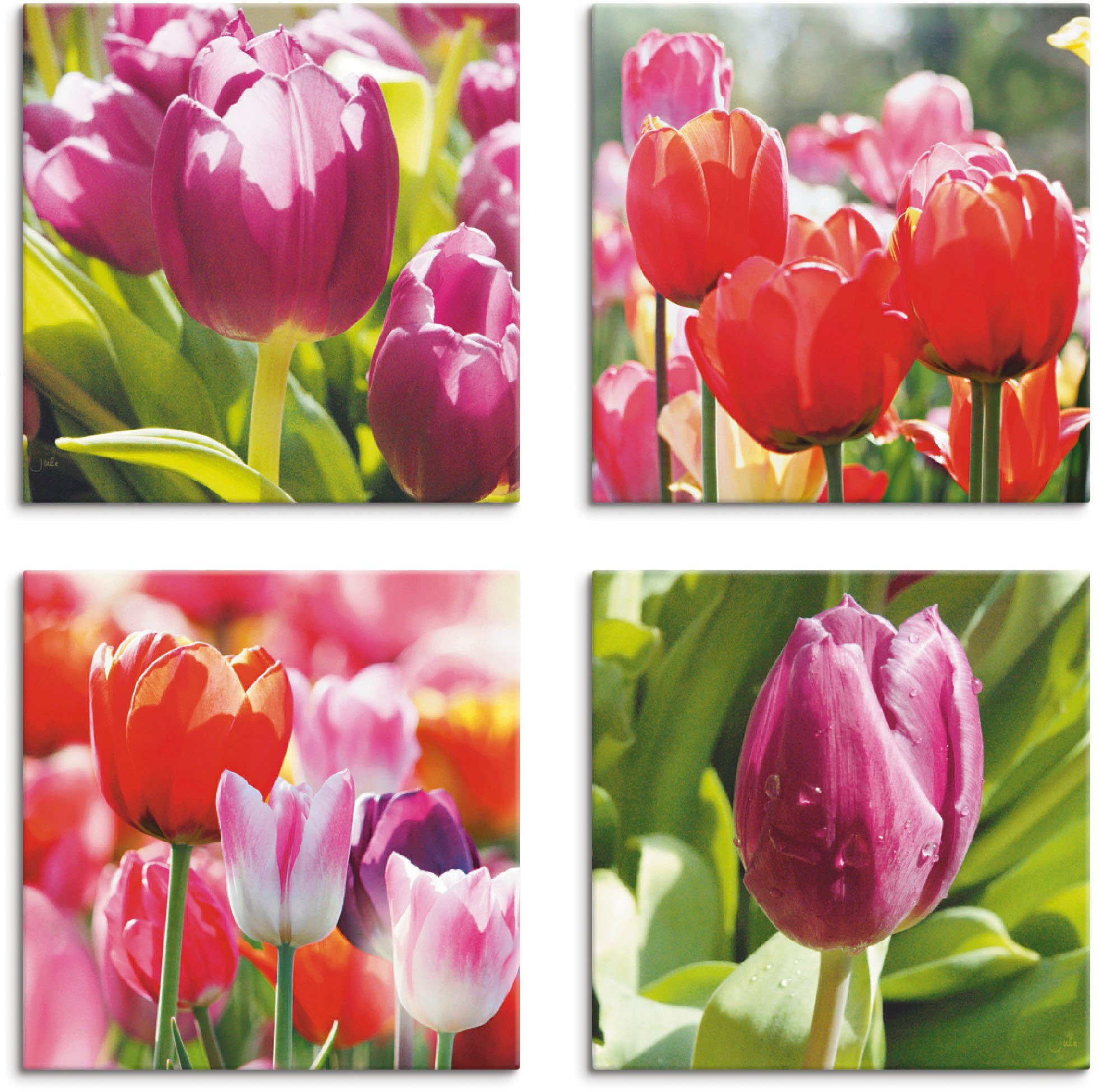 Artland Artprint op linnen Voorjaar en tulpen (4 stuks)