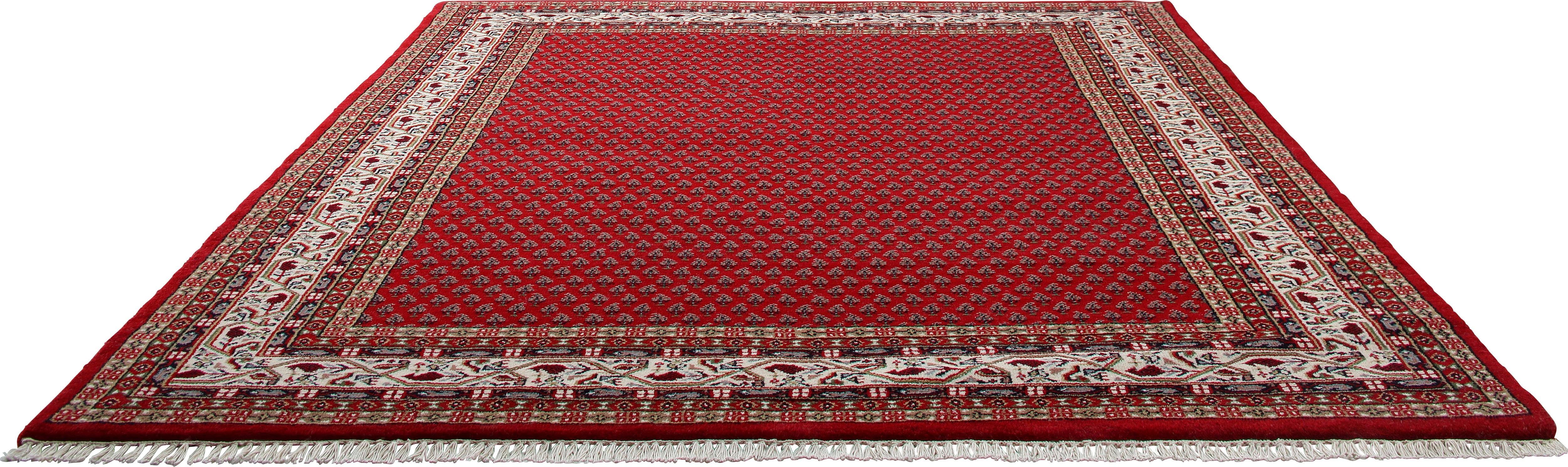 THEKO Oosters tapijt Chandi Mir zuivere wol, met de hand geknoopt, met franje