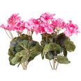 botanic-haus kunstbloem geraniums (1 stuk) roze