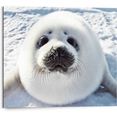 reinders! artprint jonge zeehond waddenzee - mistfluit - schattig (1 stuk) wit