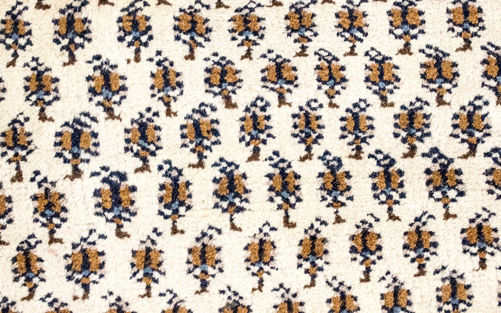 morgenland Wollen kleed Mir Mino oriëntaals design, woonkamer