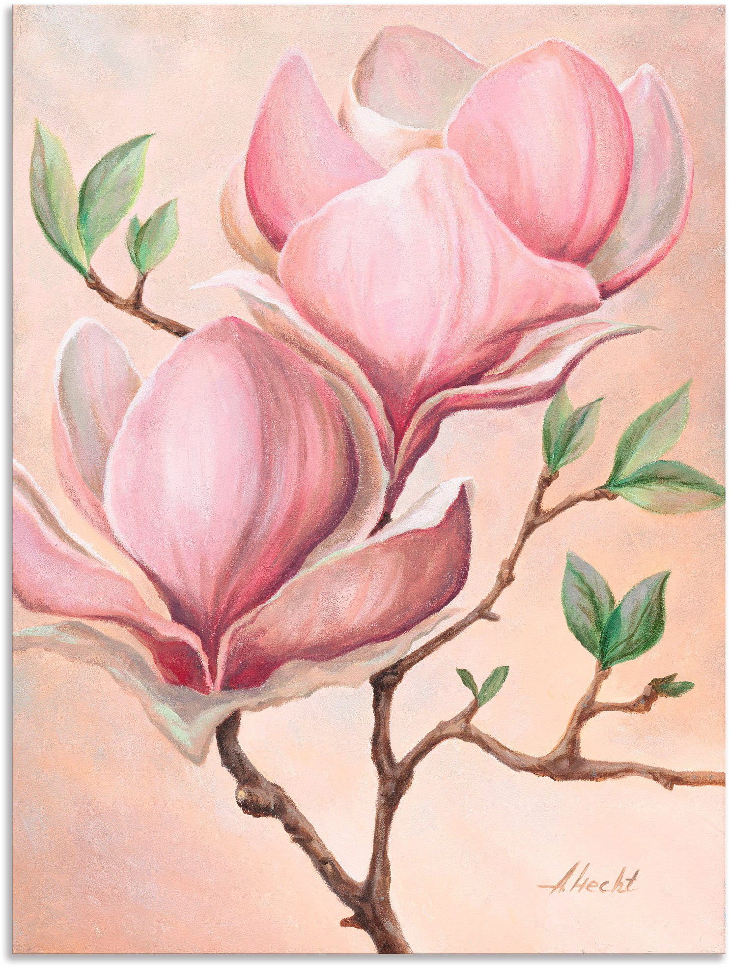 Artland Artprint Magnoliabloemen in vele afmetingen & productsoorten - artprint van aluminium / artprint voor buiten, artprint op linnen, poster, muursticker / wandfolie ook geschi
